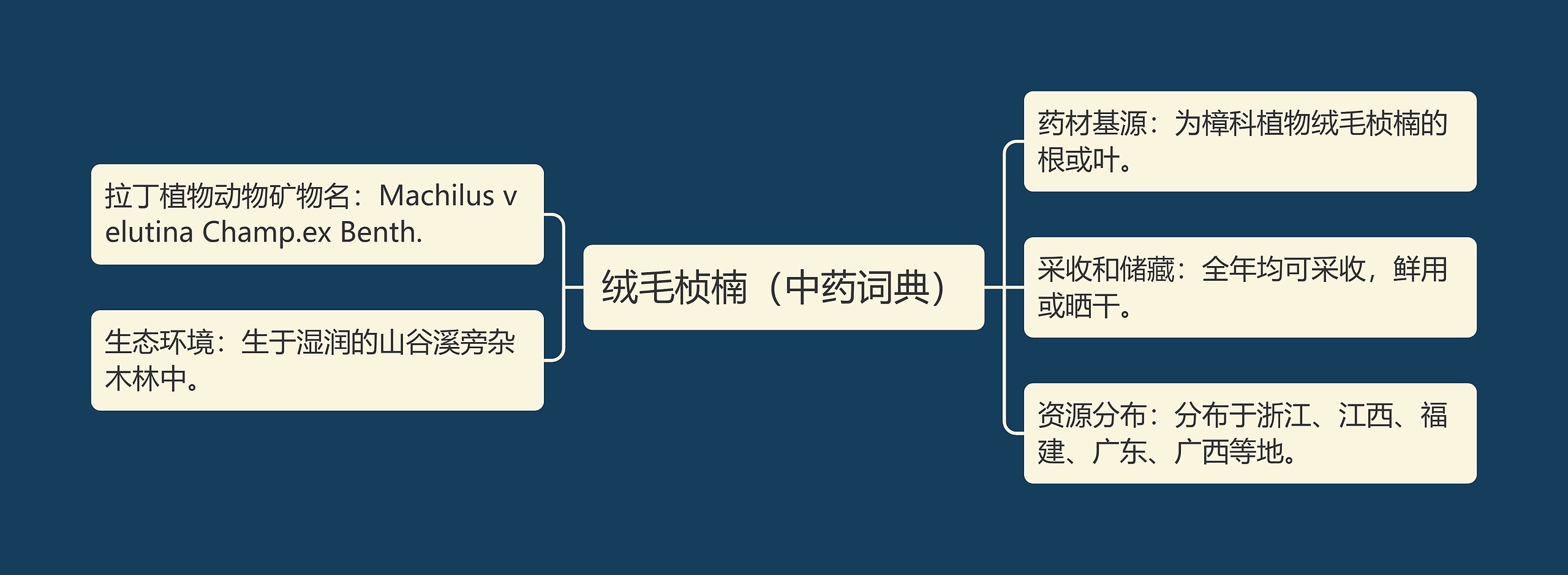 绒毛桢楠（中药词典）思维导图