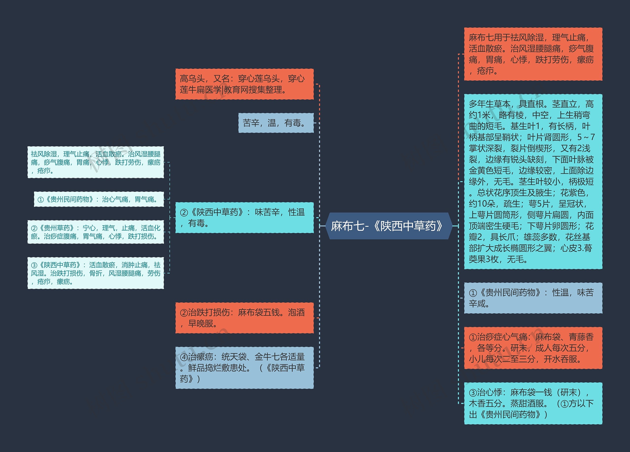 麻布七-《陕西中草药》思维导图