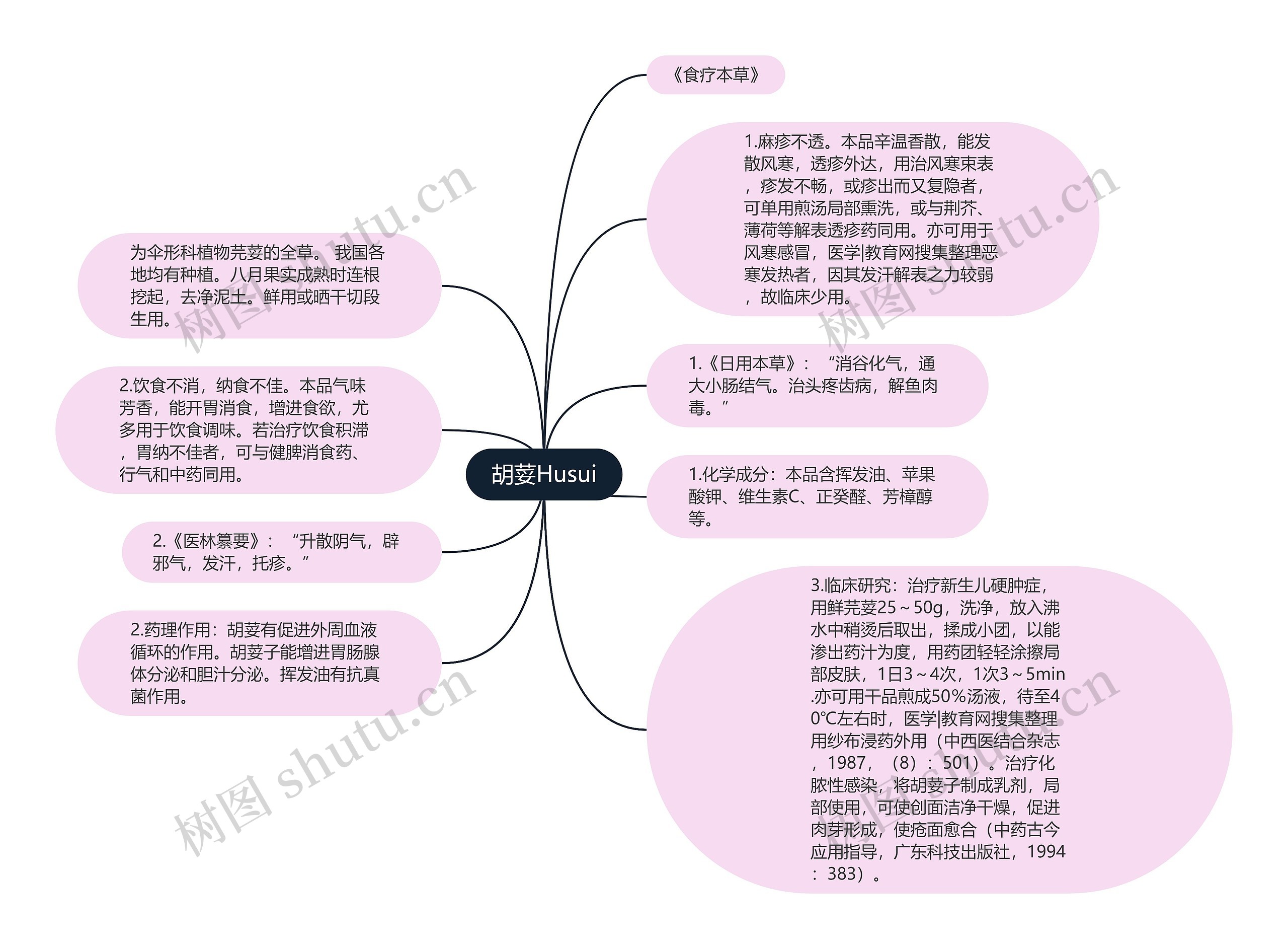 胡荽Husui思维导图