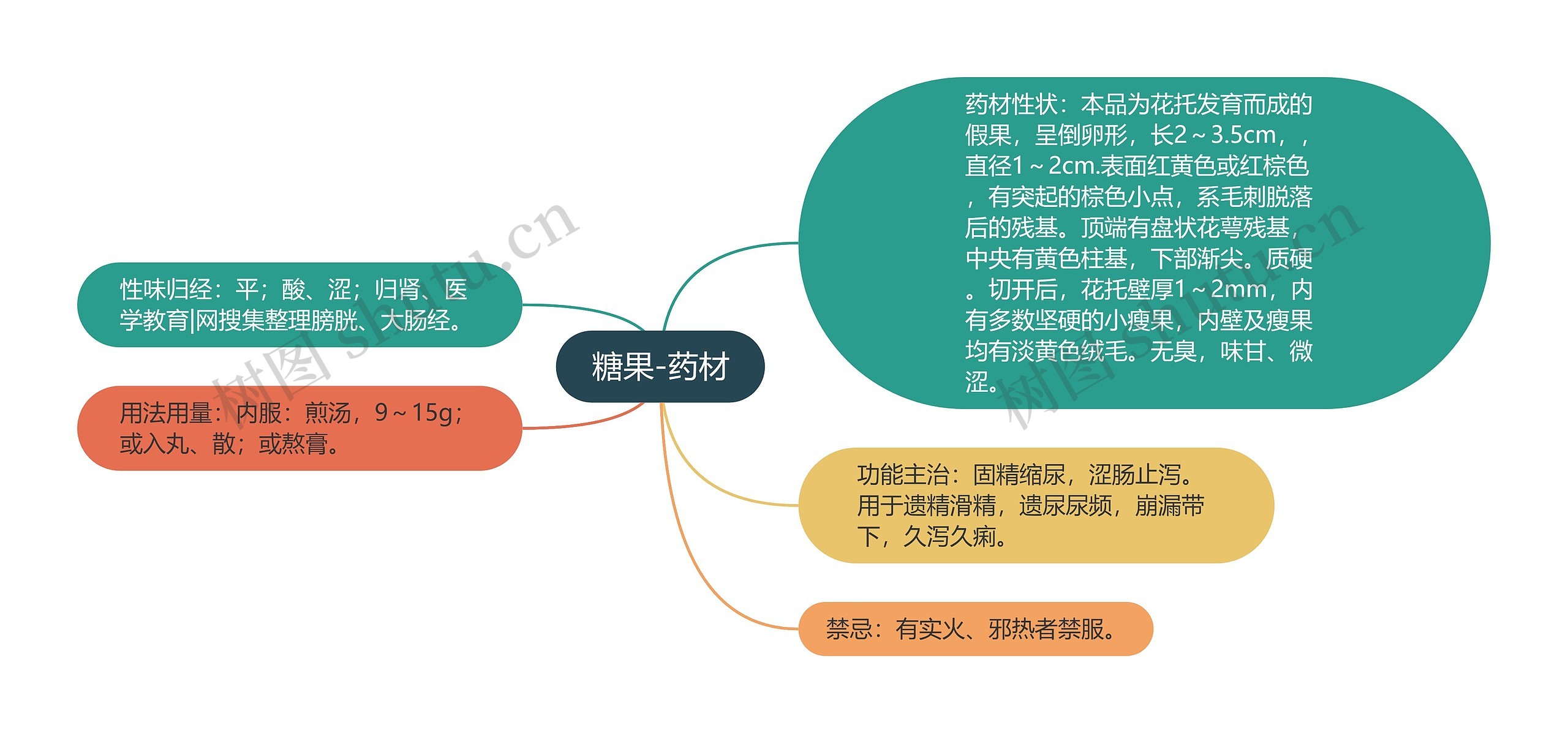 糖果-药材思维导图