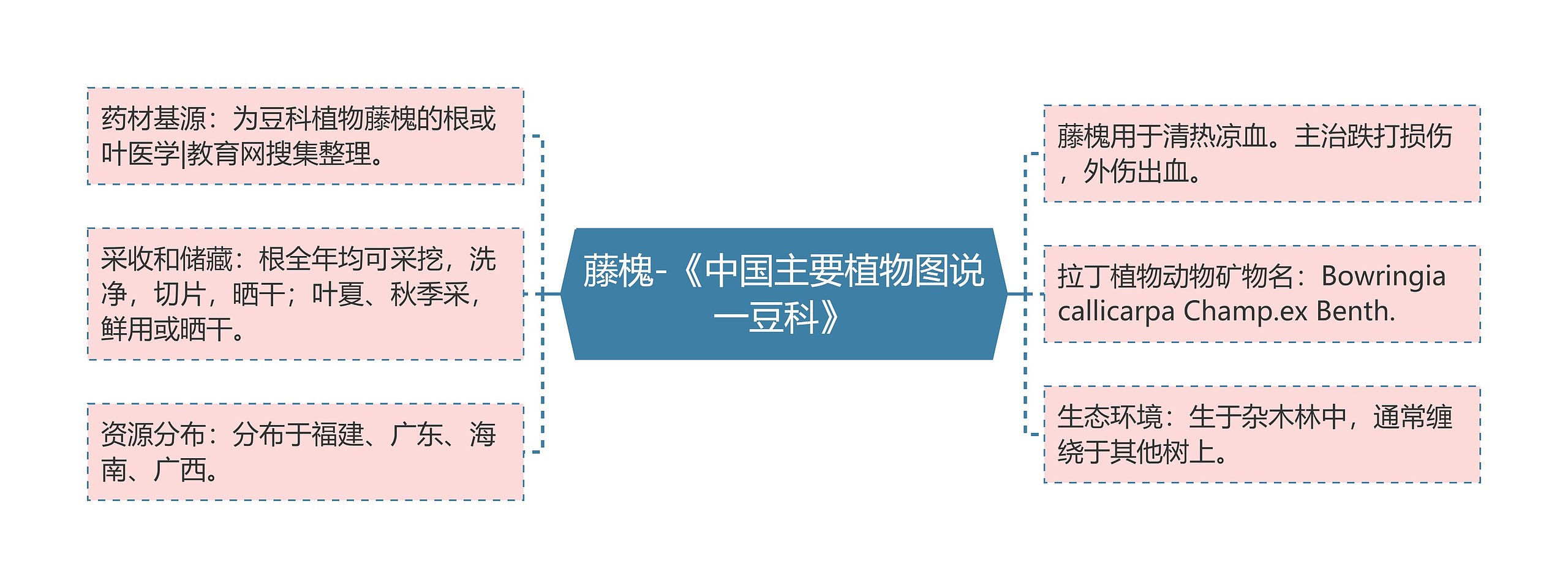 藤槐-《中国主要植物图说一豆科》