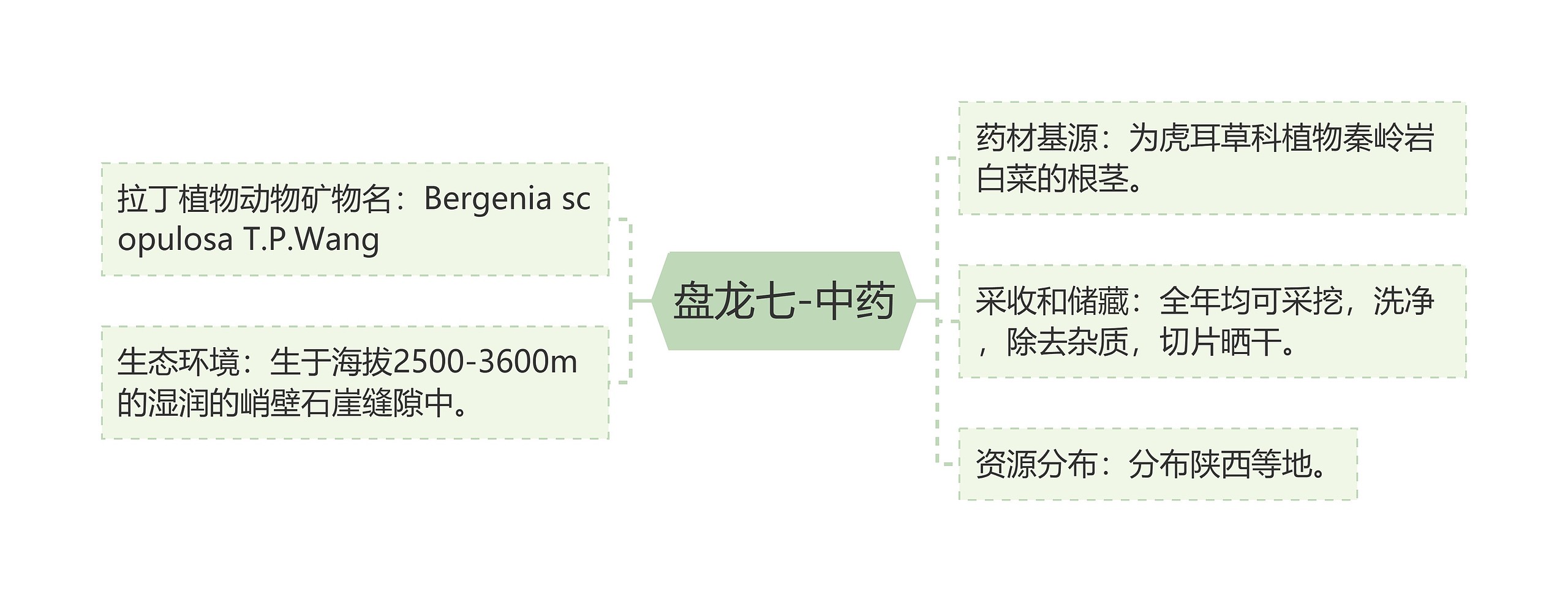 盘龙七-中药 盘龙七-中药
