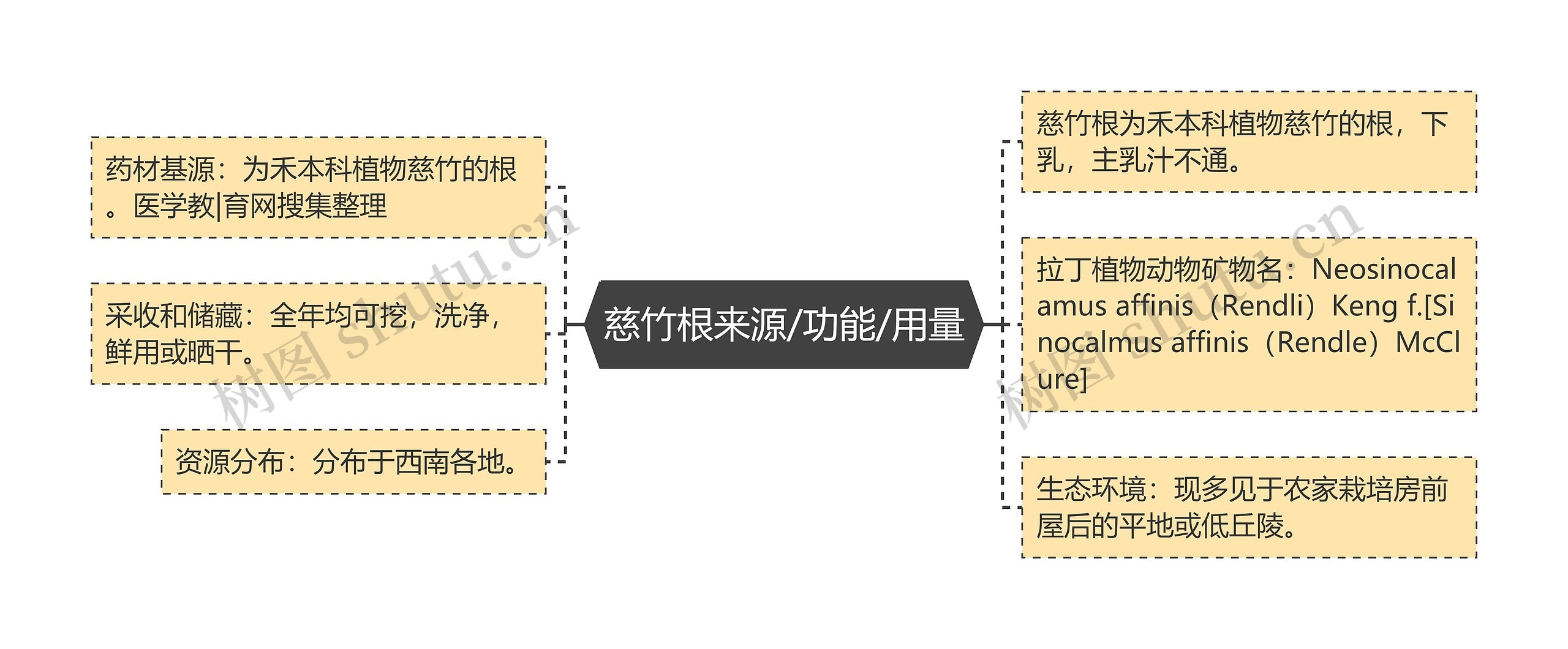 慈竹根来源/功能/用量