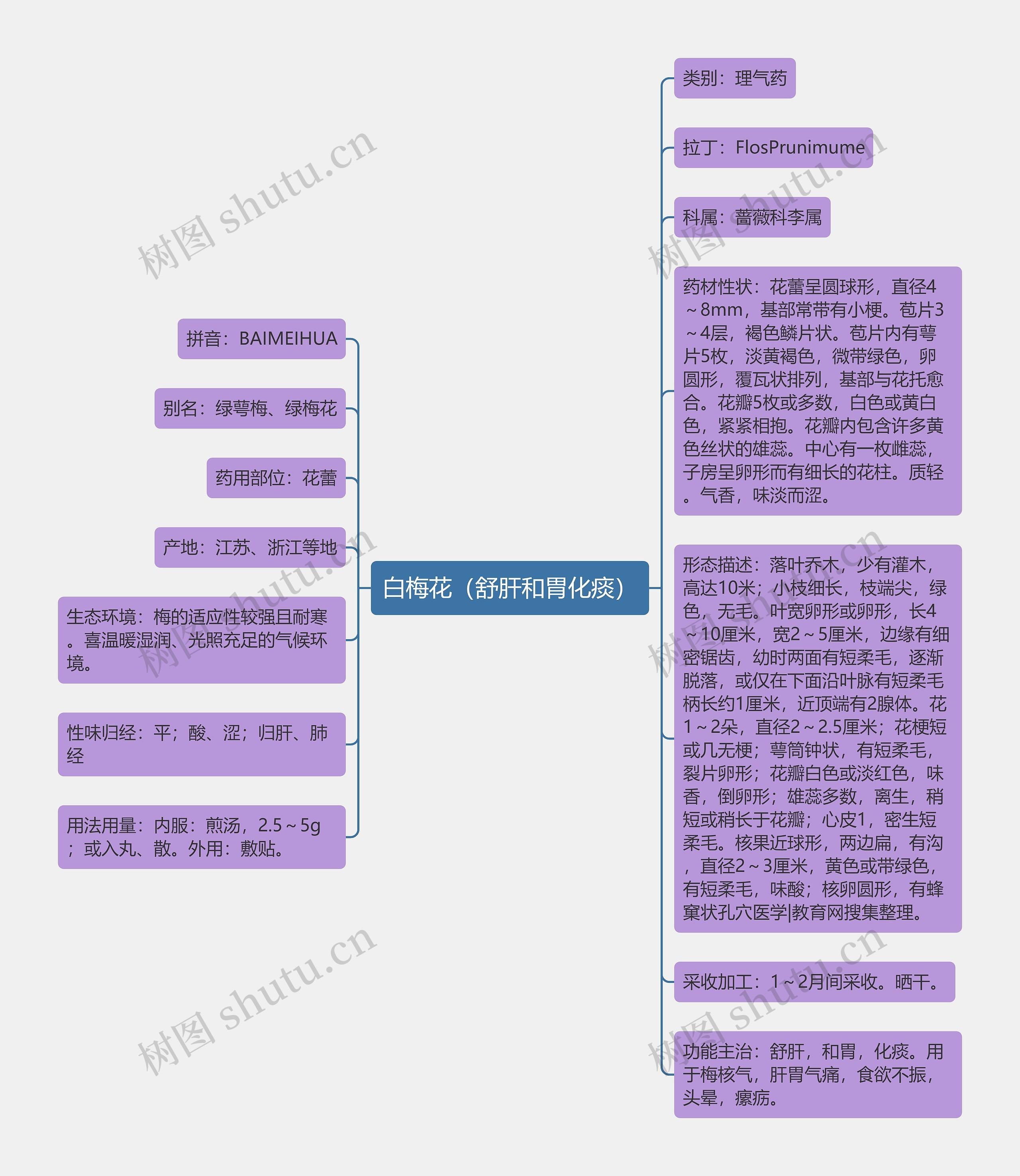 白梅花（舒肝和胃化痰）思维导图