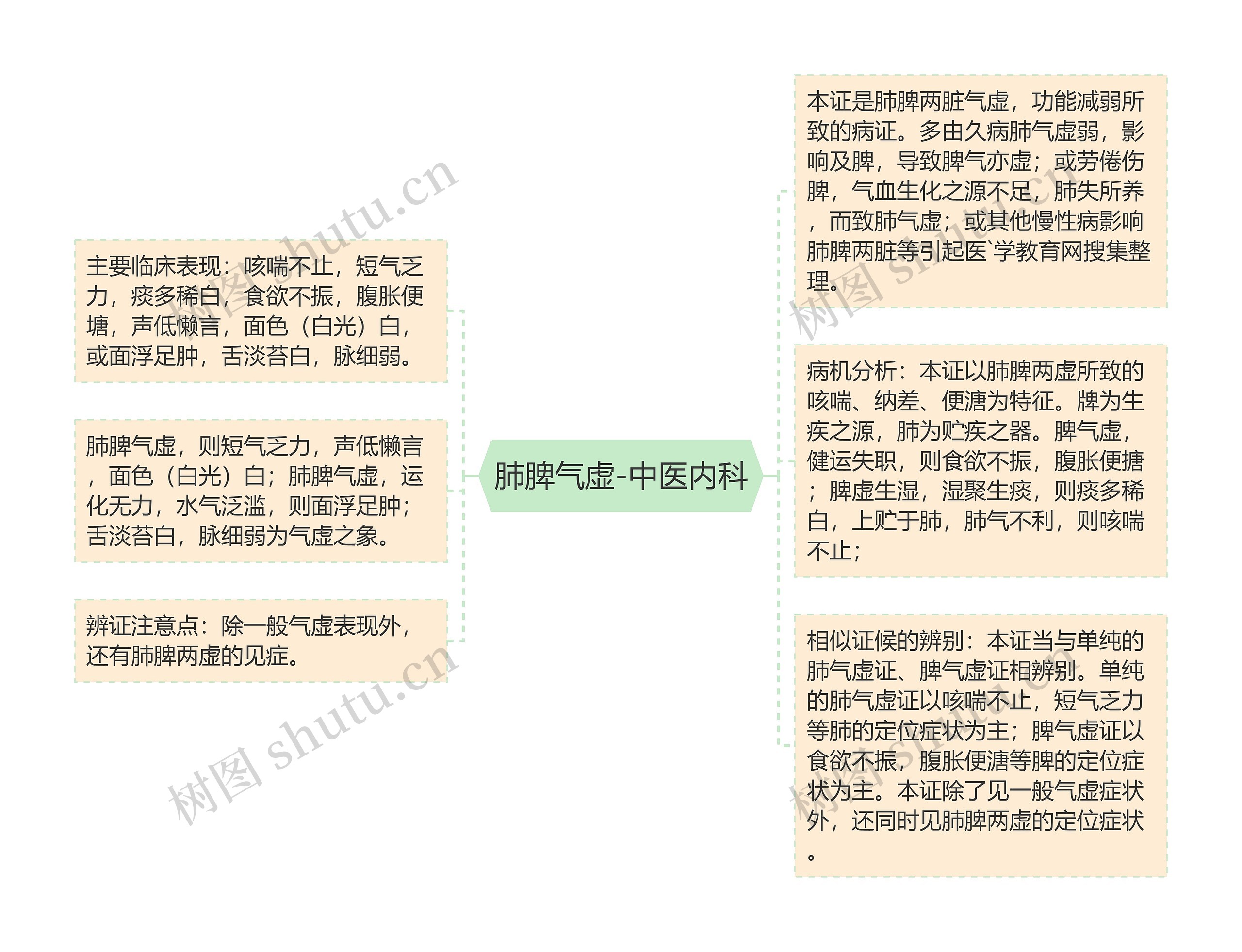 肺脾气虚-中医内科思维导图