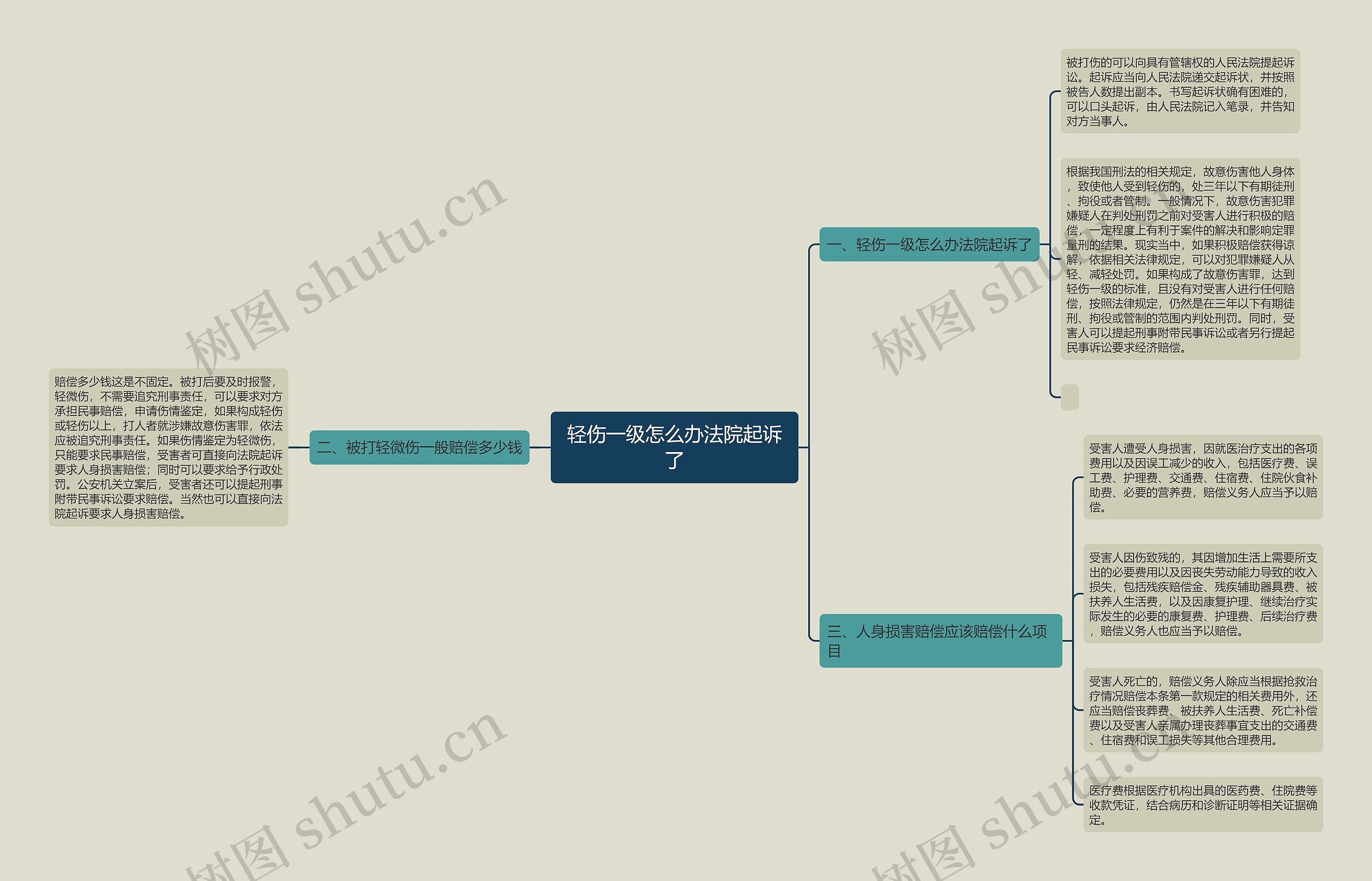 轻伤一级怎么办法院起诉了思维导图
