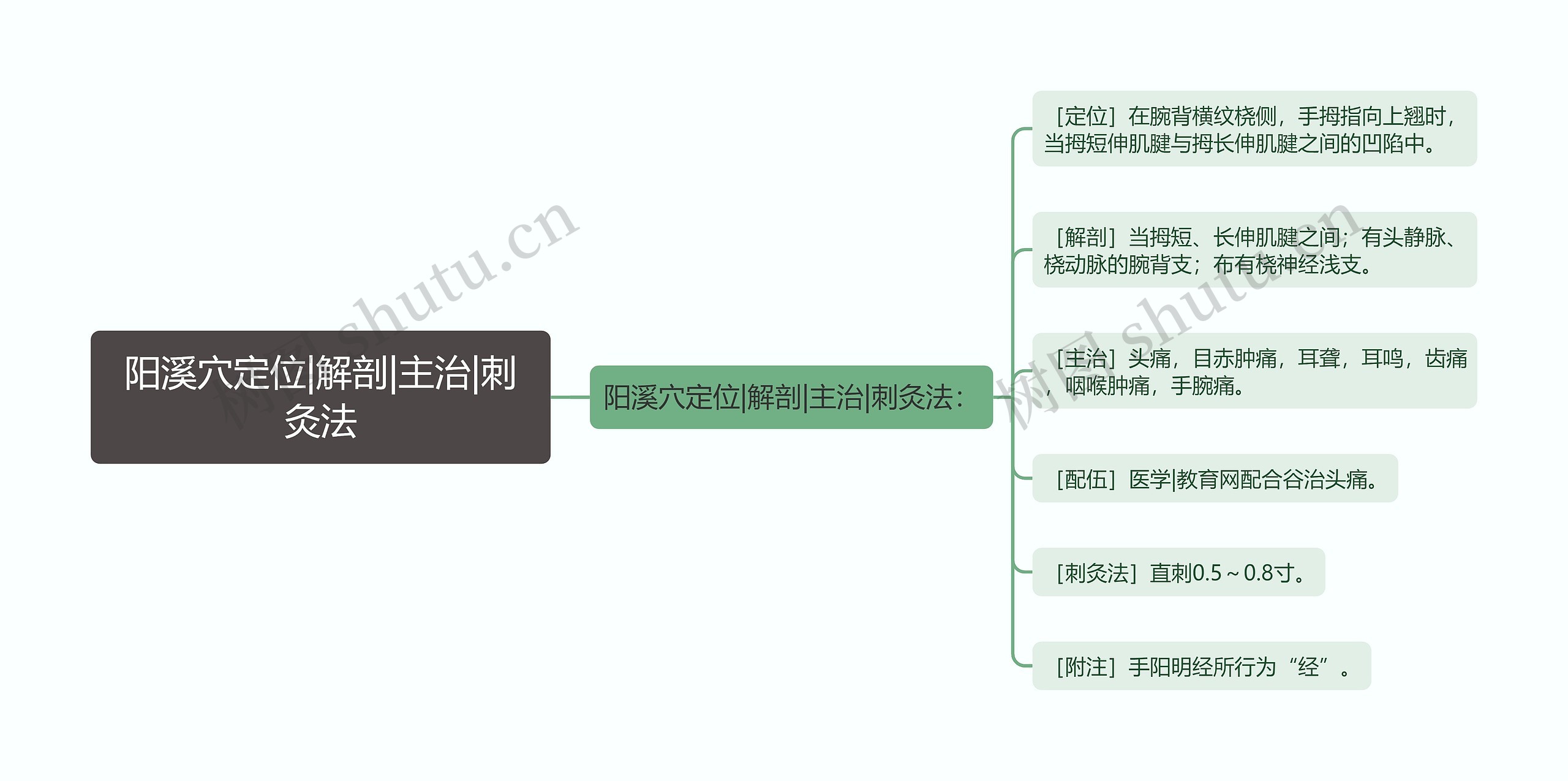 阳溪穴定位|解剖|主治|刺灸法