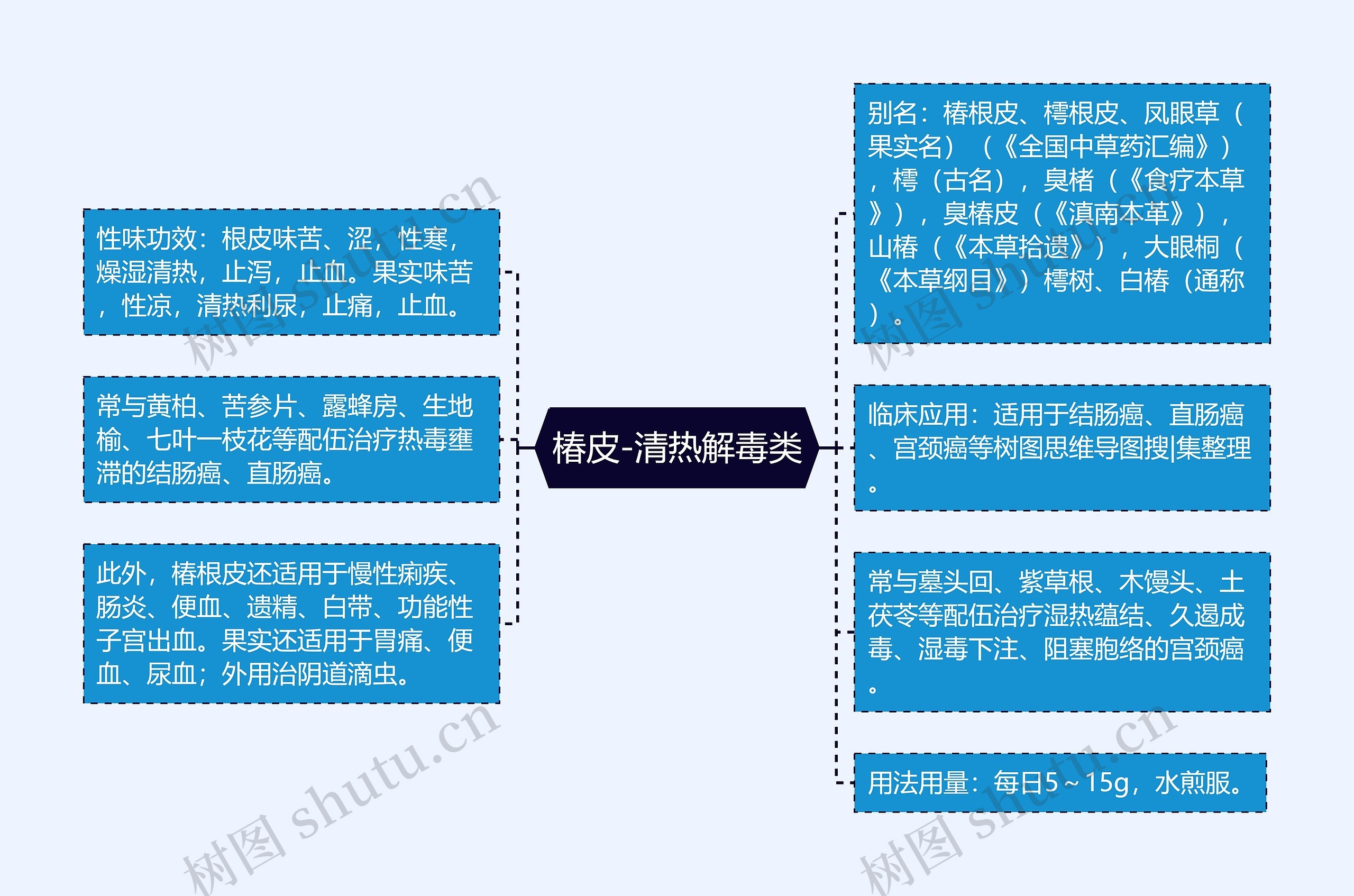 椿皮-清热解毒类思维导图