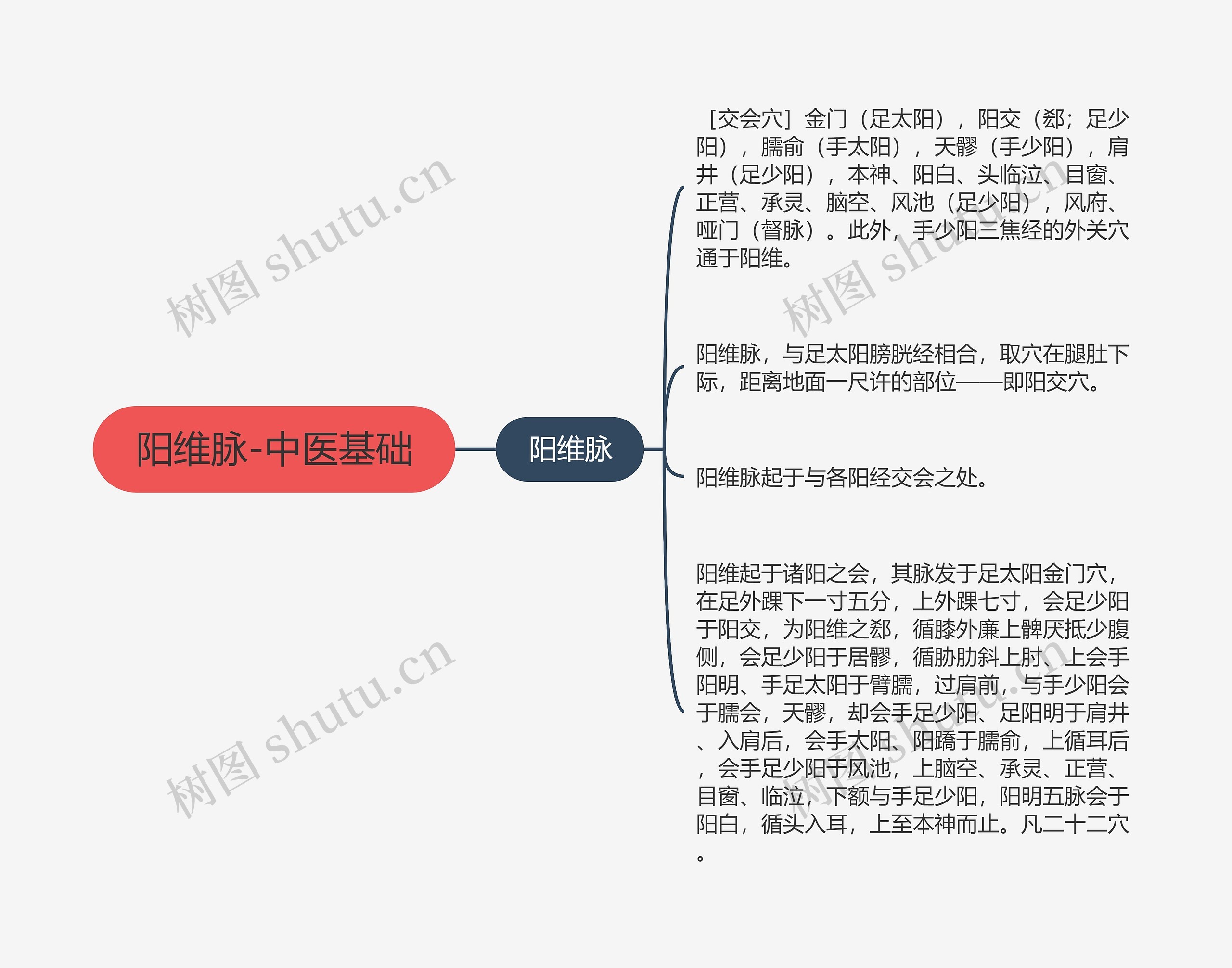 阳维脉-中医基础 阳维脉-中医基础