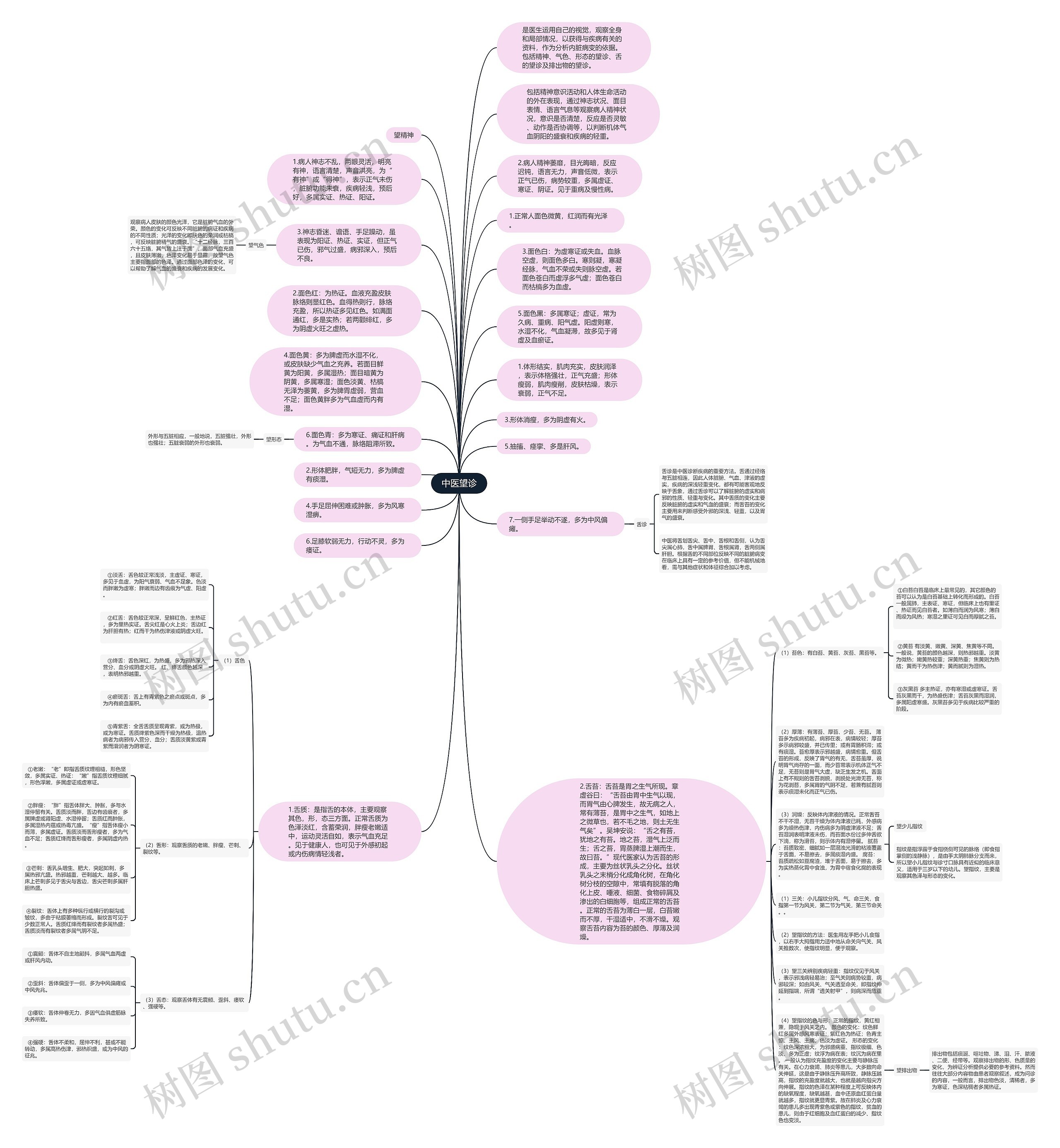中医望诊思维导图