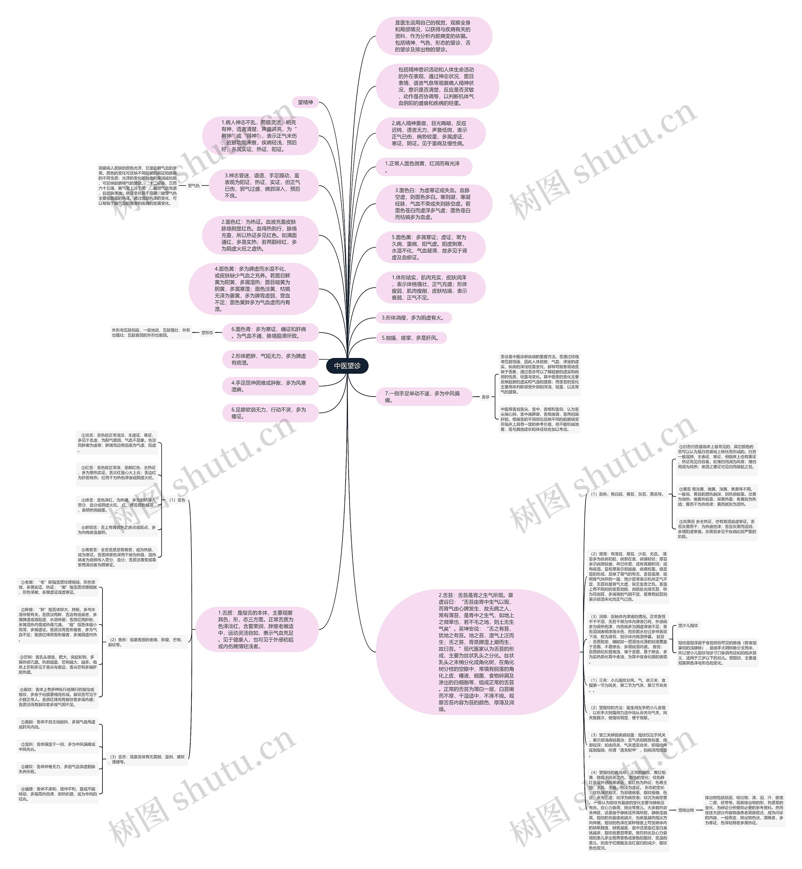 中医望诊思维导图_编号p6995910-TreeMind树图