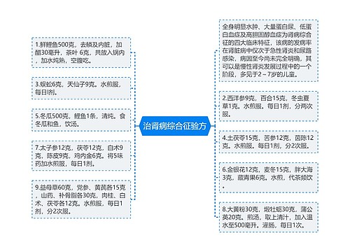 治肾病综合征验方