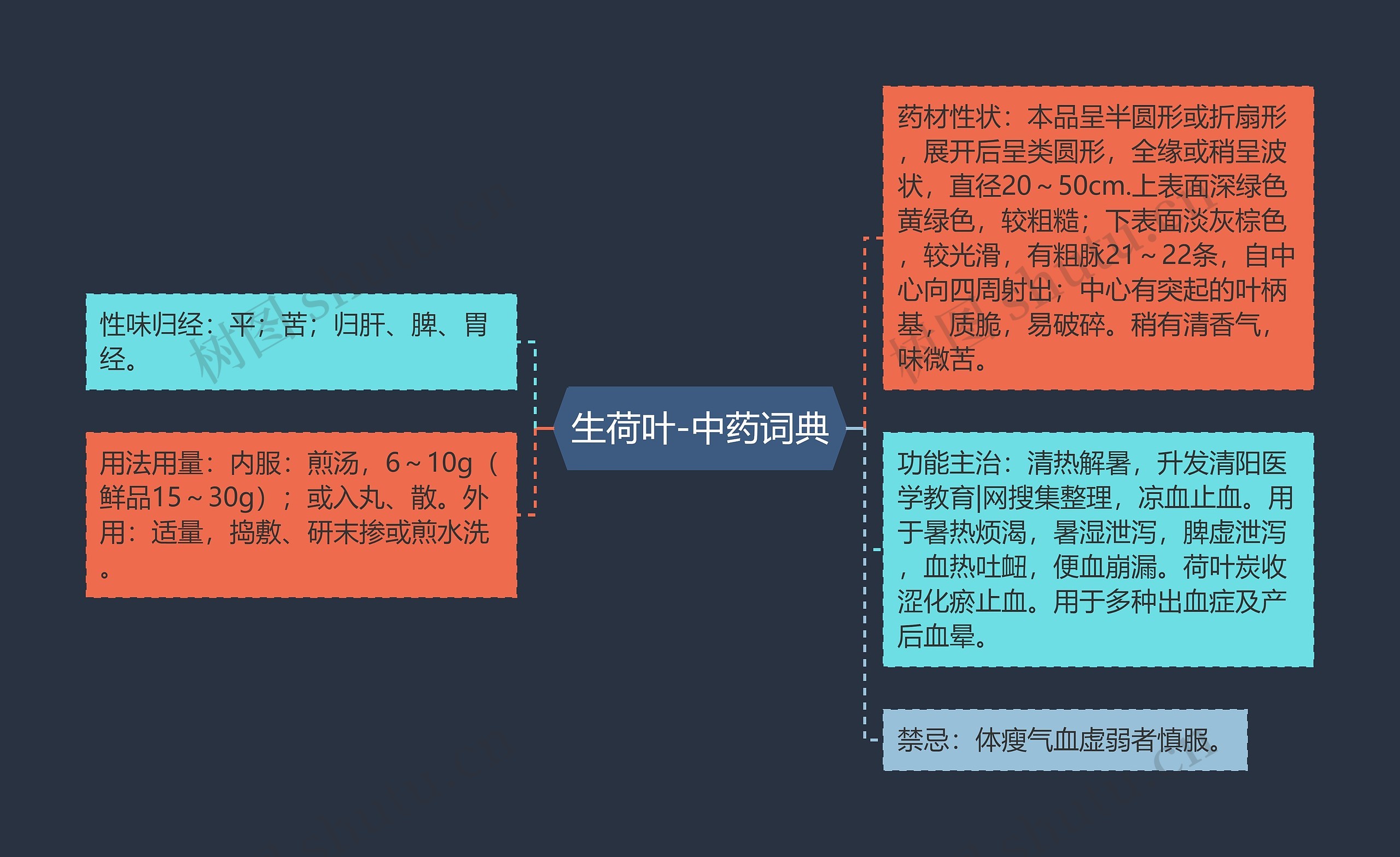 生荷叶-中药词典思维导图