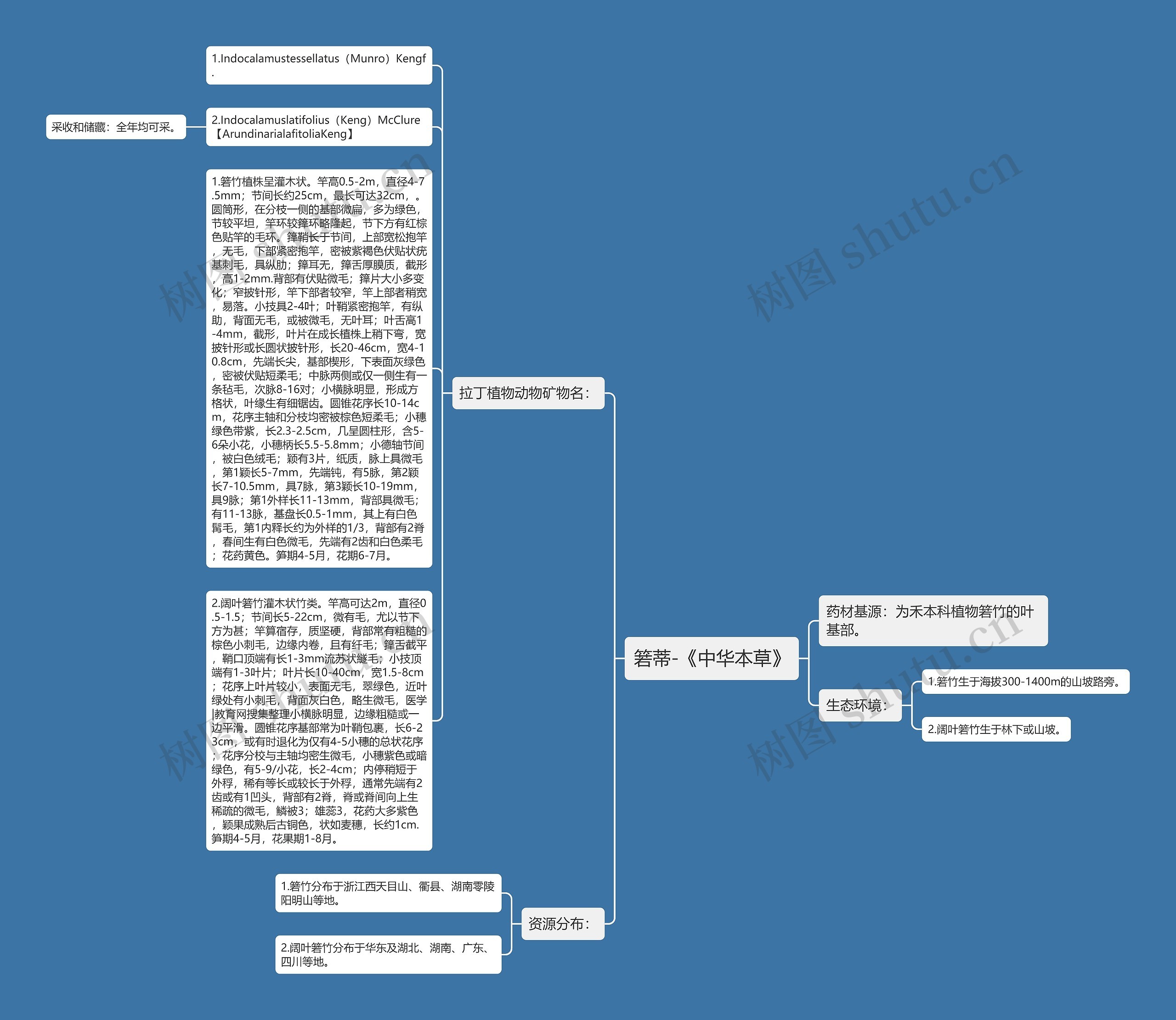 箬蒂-《中华本草》思维导图