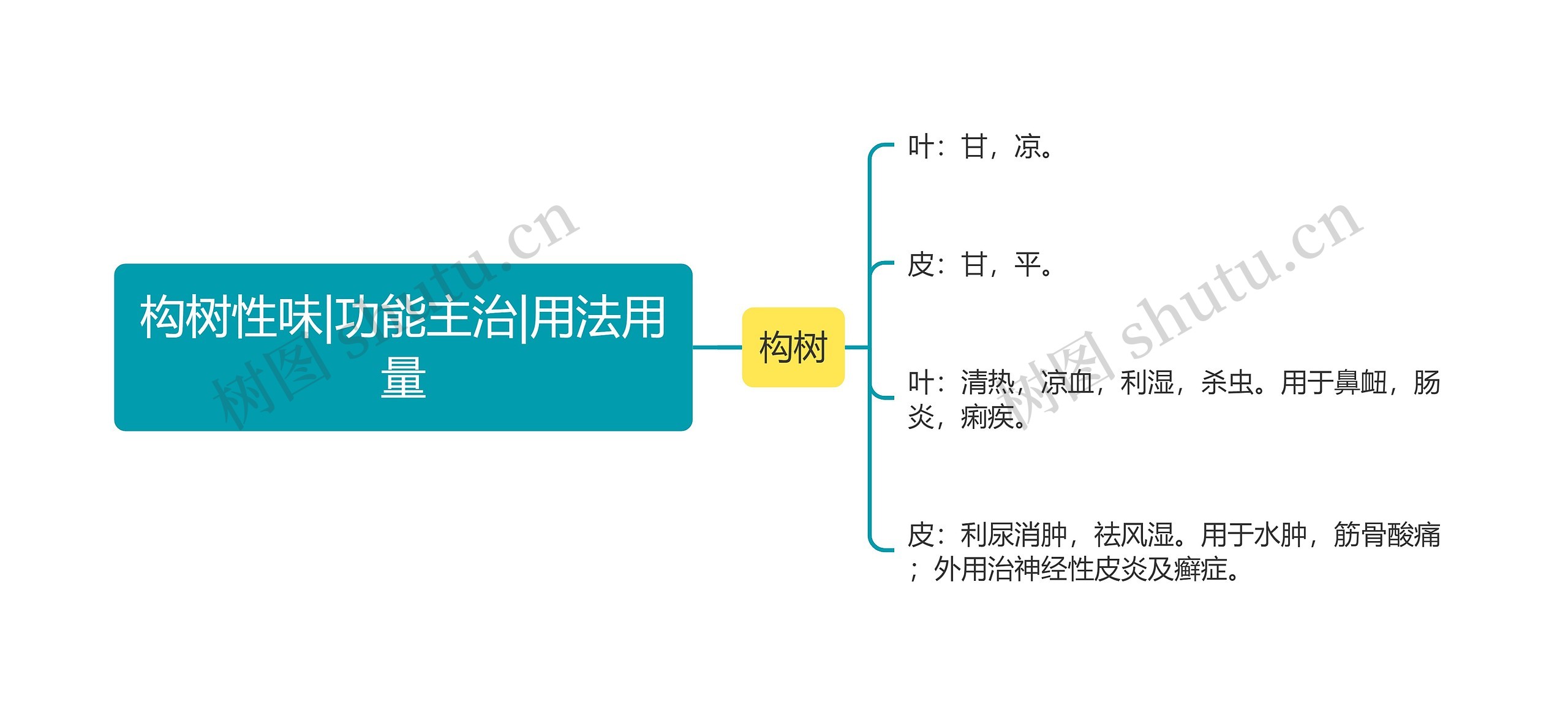 构树性味|功能主治|用法用量