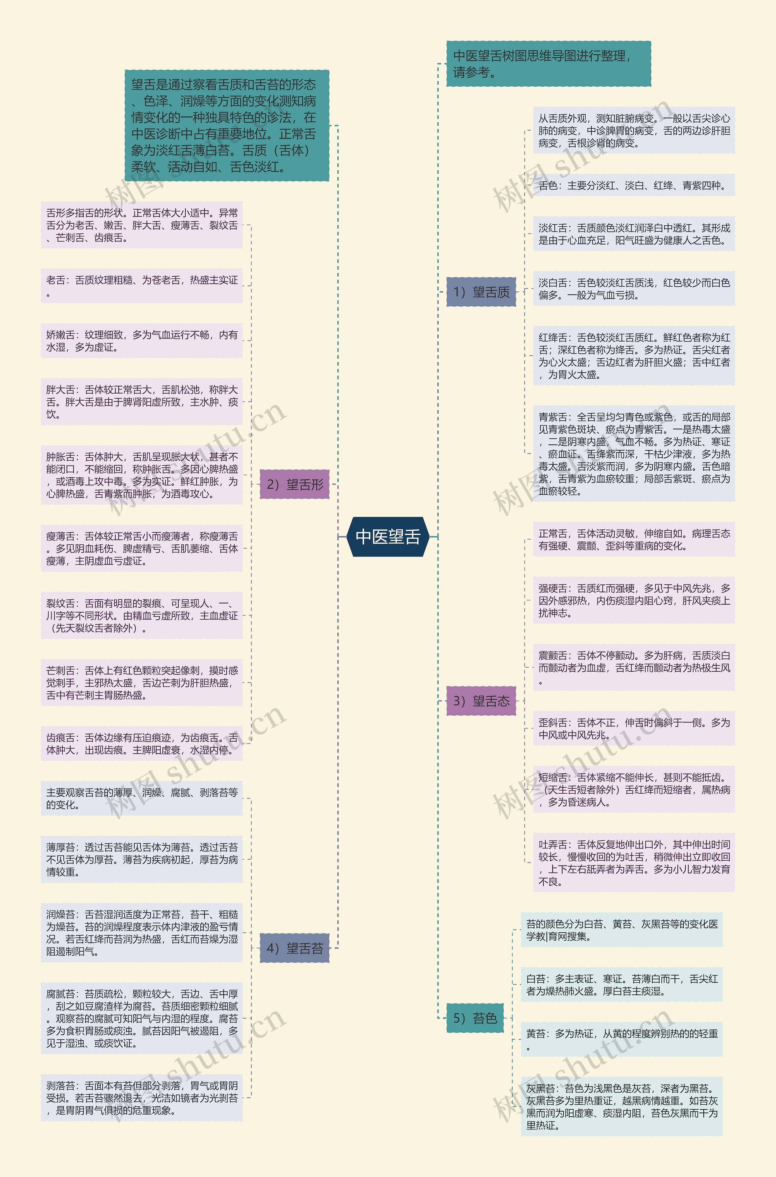 中医望舌思维导图