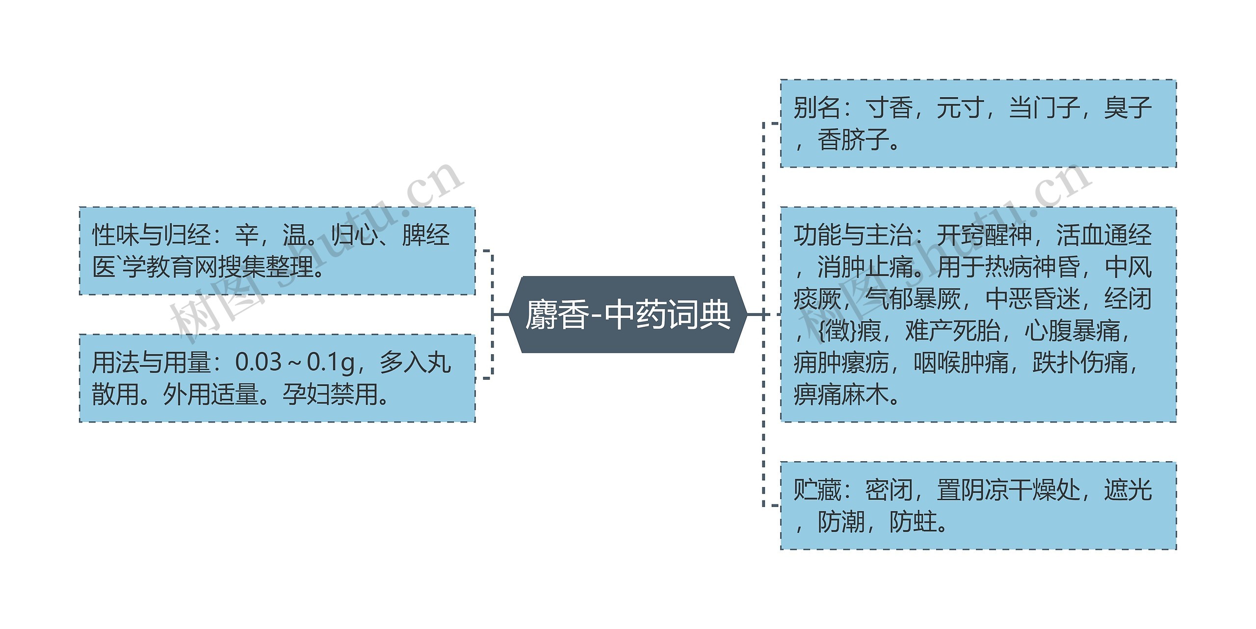 麝香-中药词典思维导图