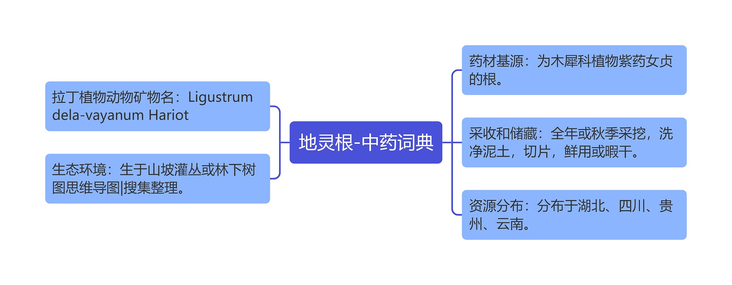 地灵根-中药词典思维导图