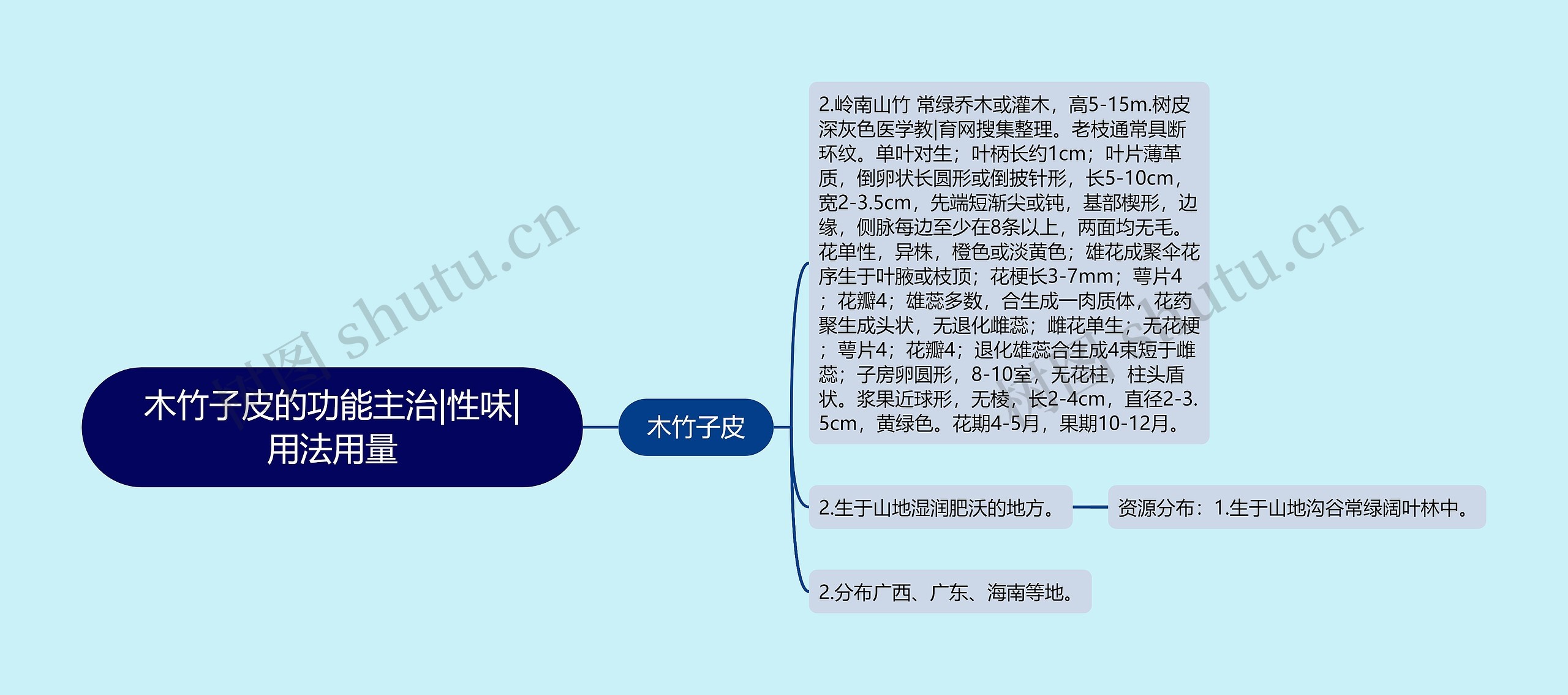 木竹子皮的功能主治|性味|用法用量思维导图