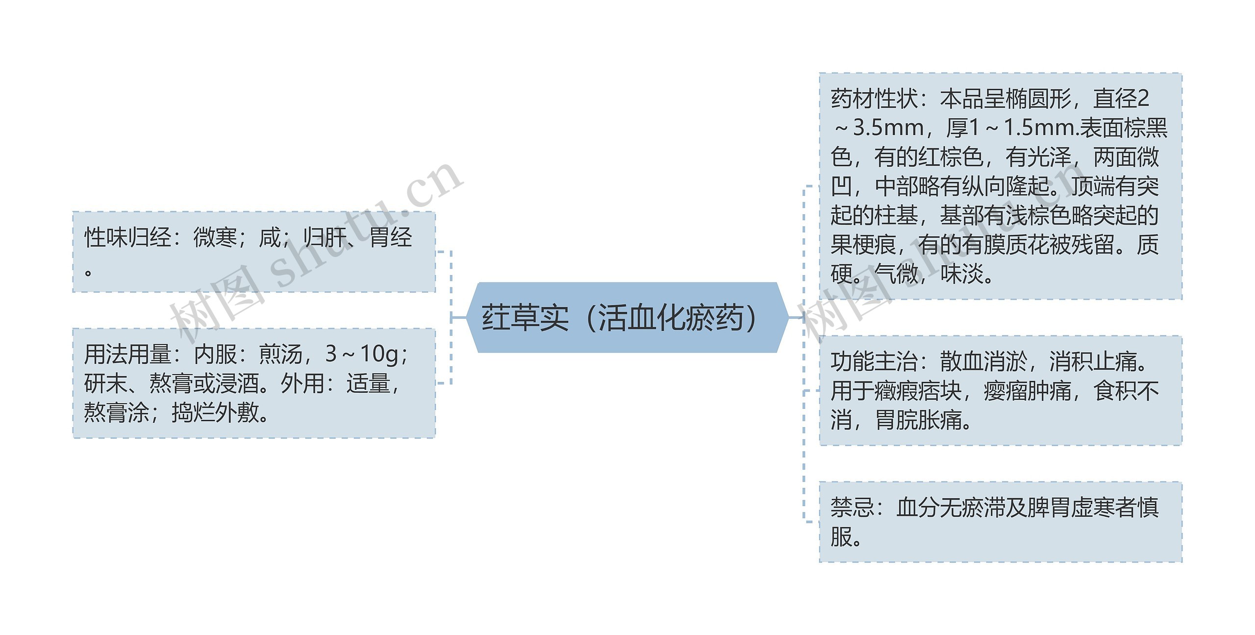 荭草实（活血化瘀药）思维导图