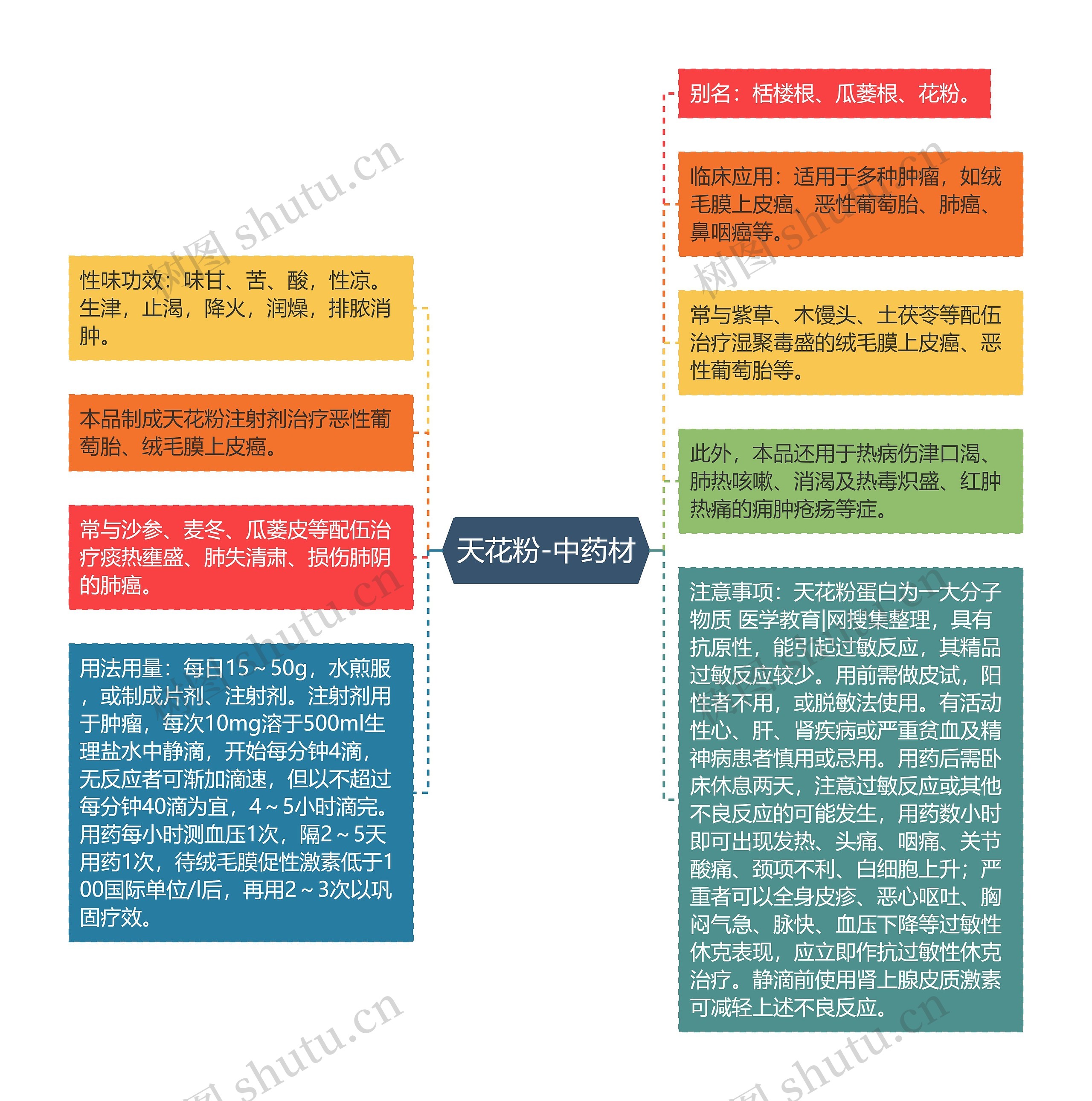 天花粉-中药材思维导图