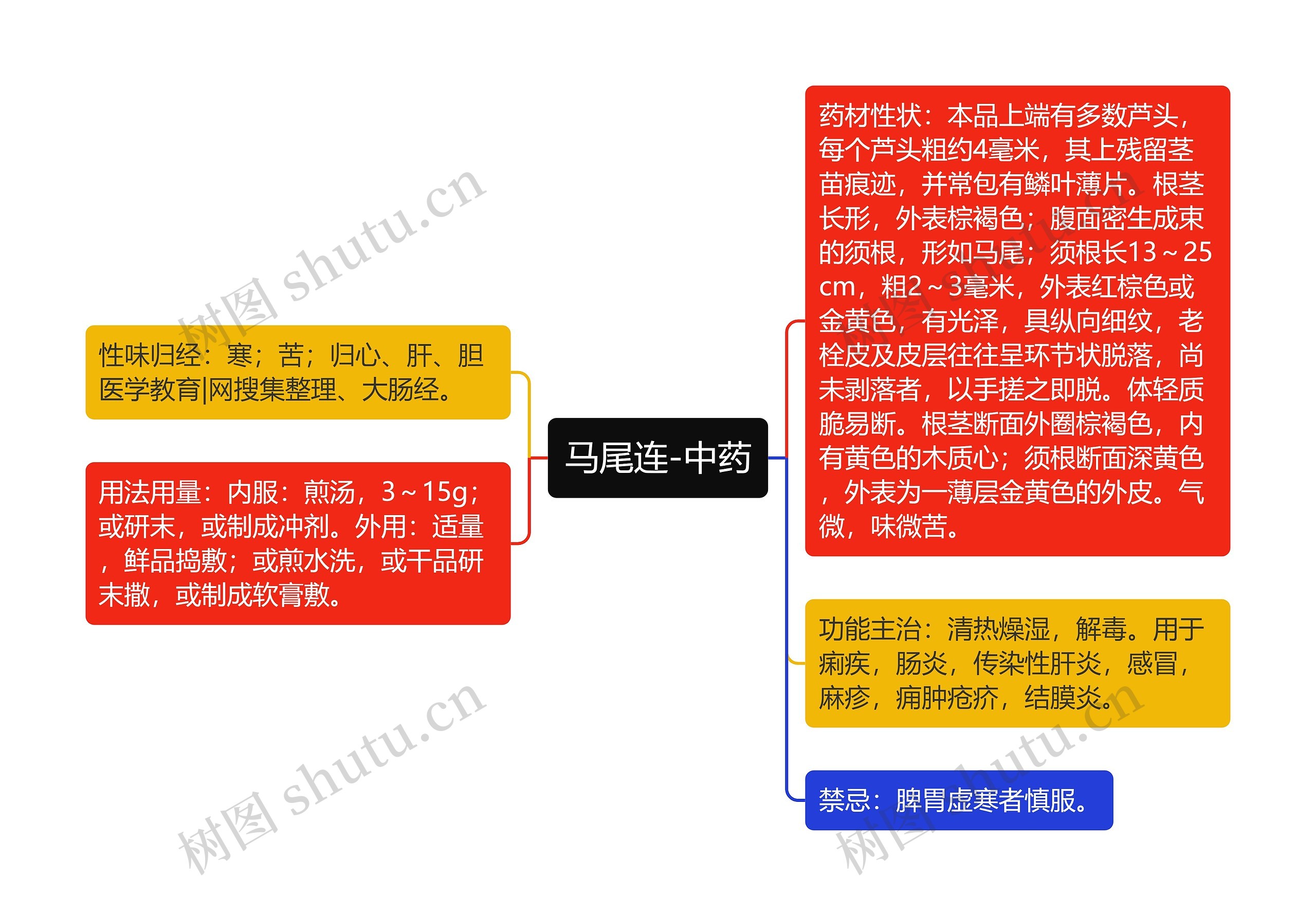 马尾连-中药 马尾连-中药