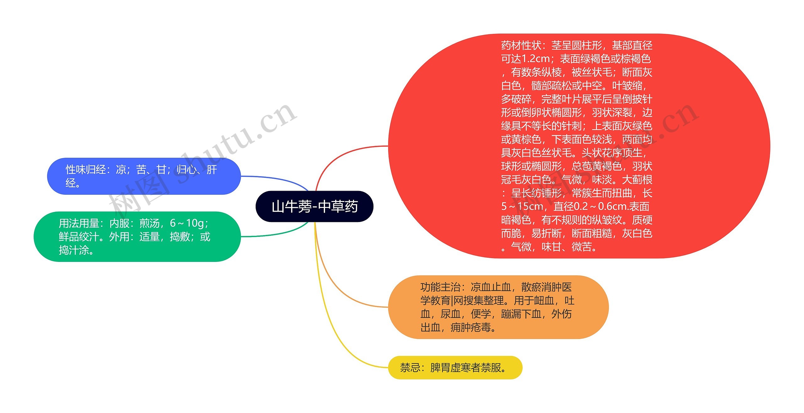 山牛蒡-中草药思维导图