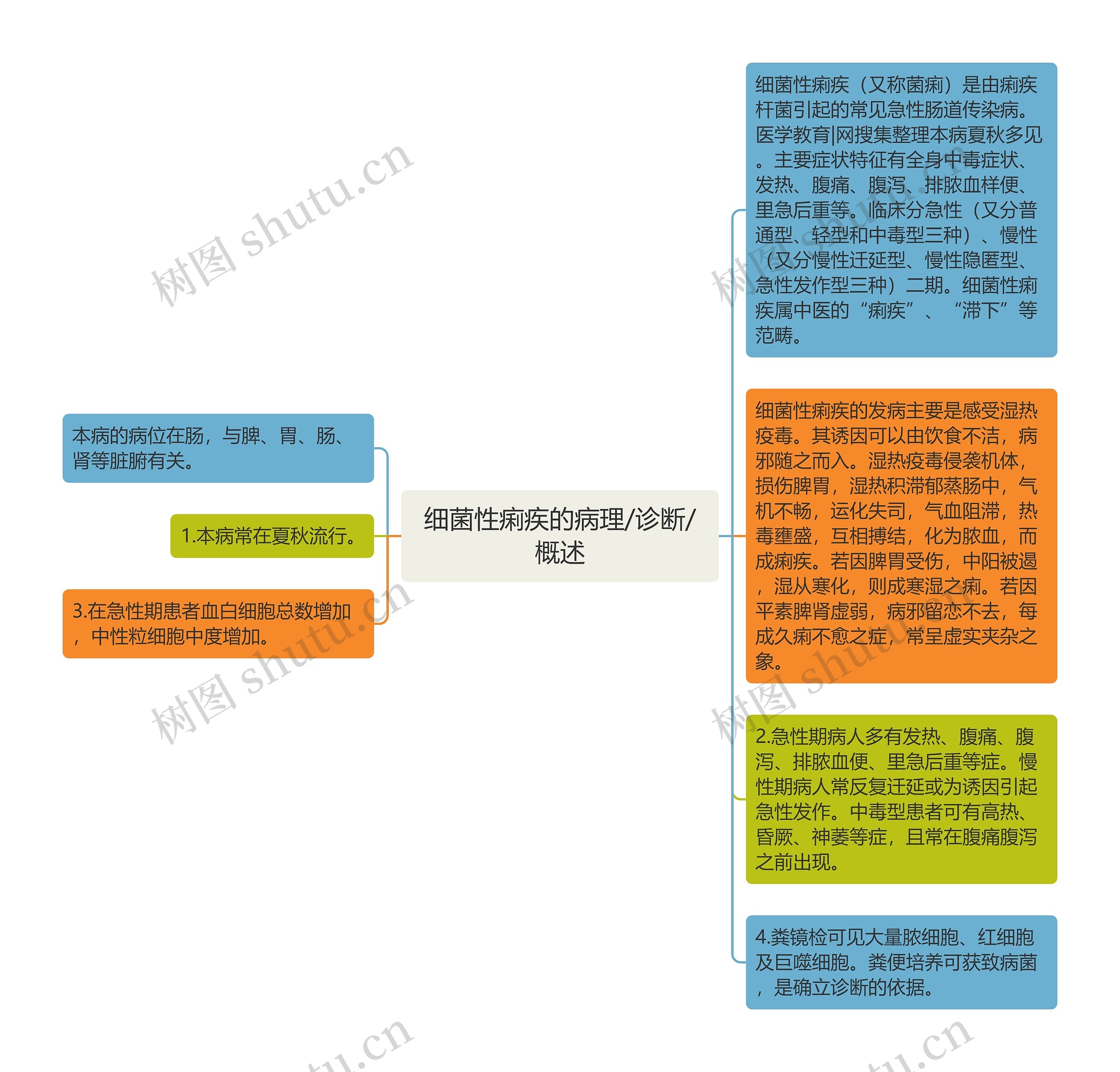 细菌性痢疾的病理/诊断/概述思维导图