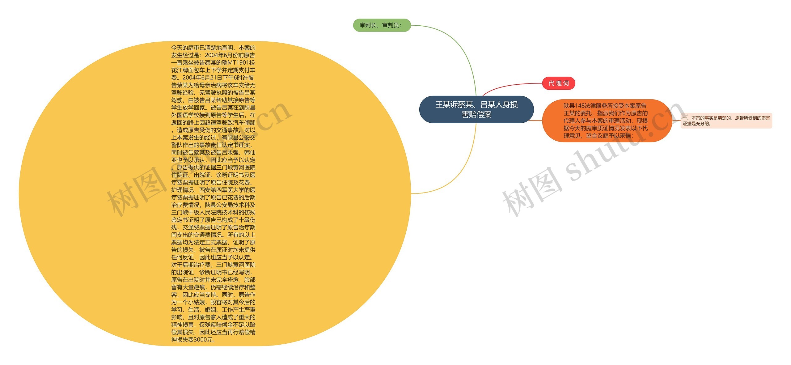 王某诉蔡某、吕某人身损害赔偿案思维导图