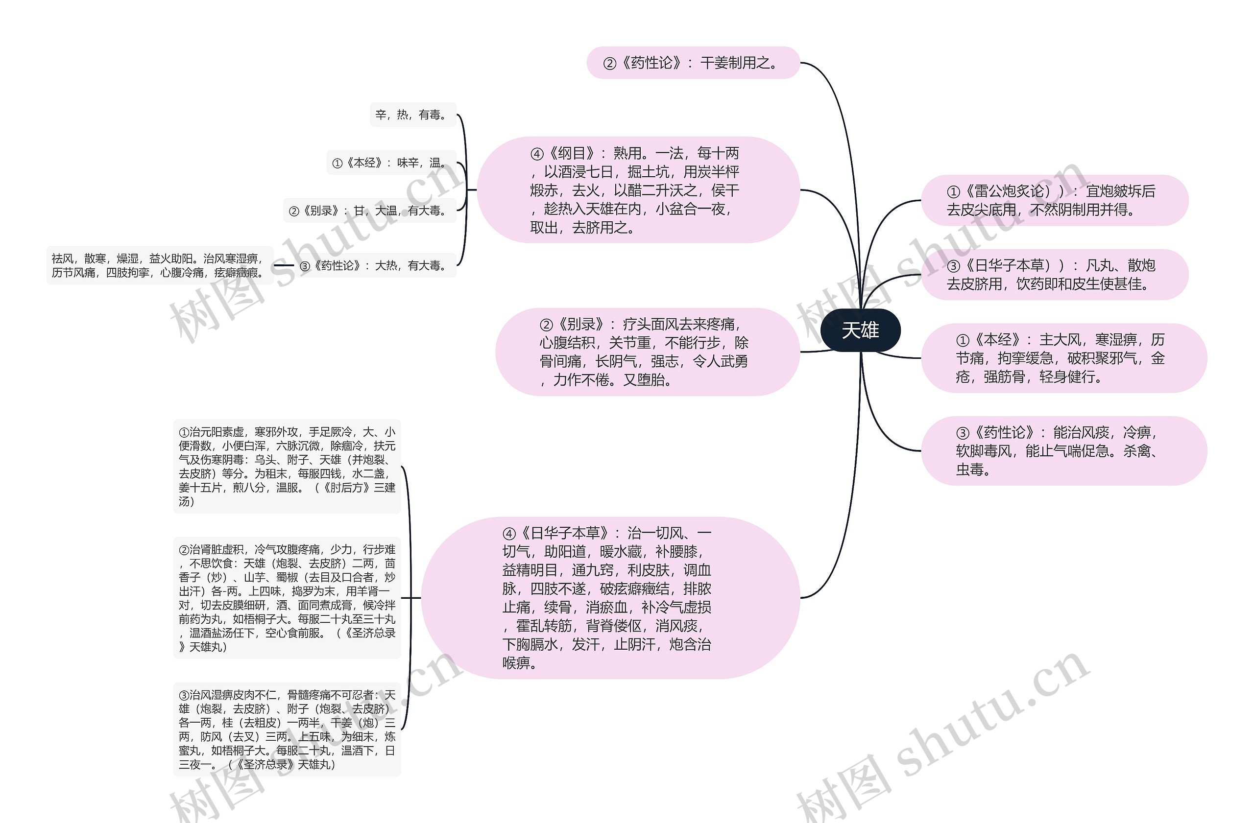 天雄思维导图高清图 天雄思维导图