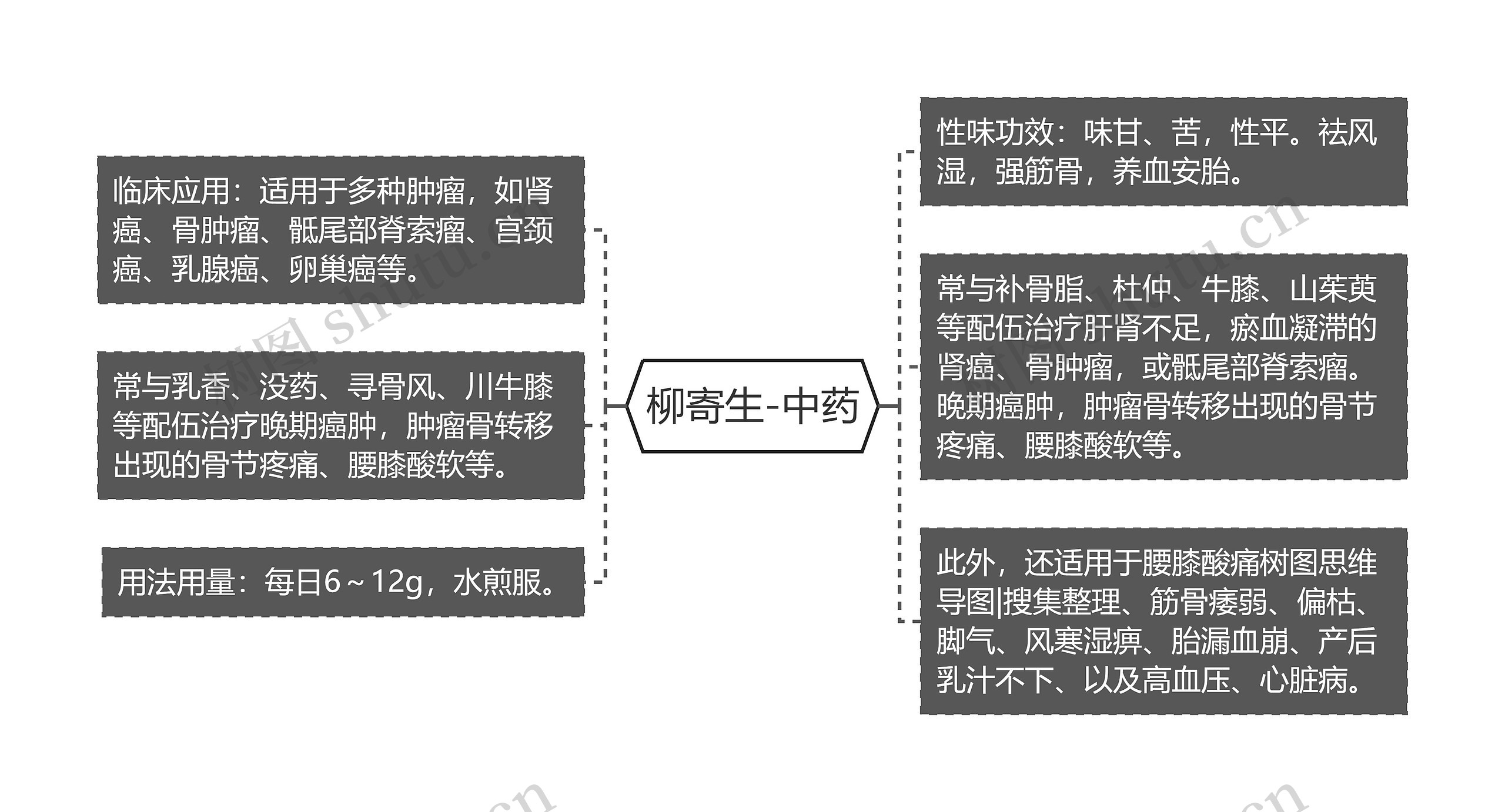 柳寄生-中药思维导图