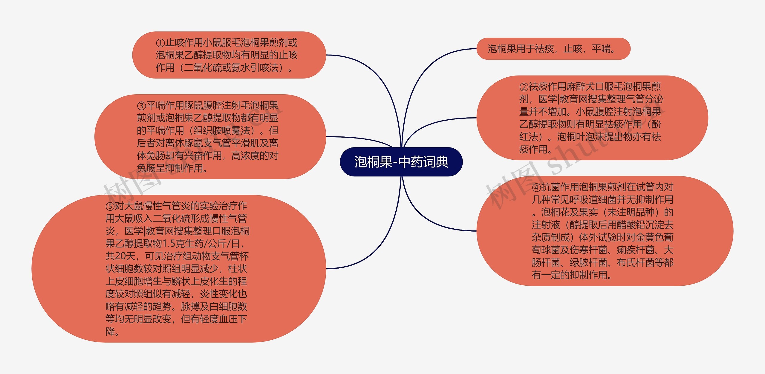 泡桐果-中药词典思维导图