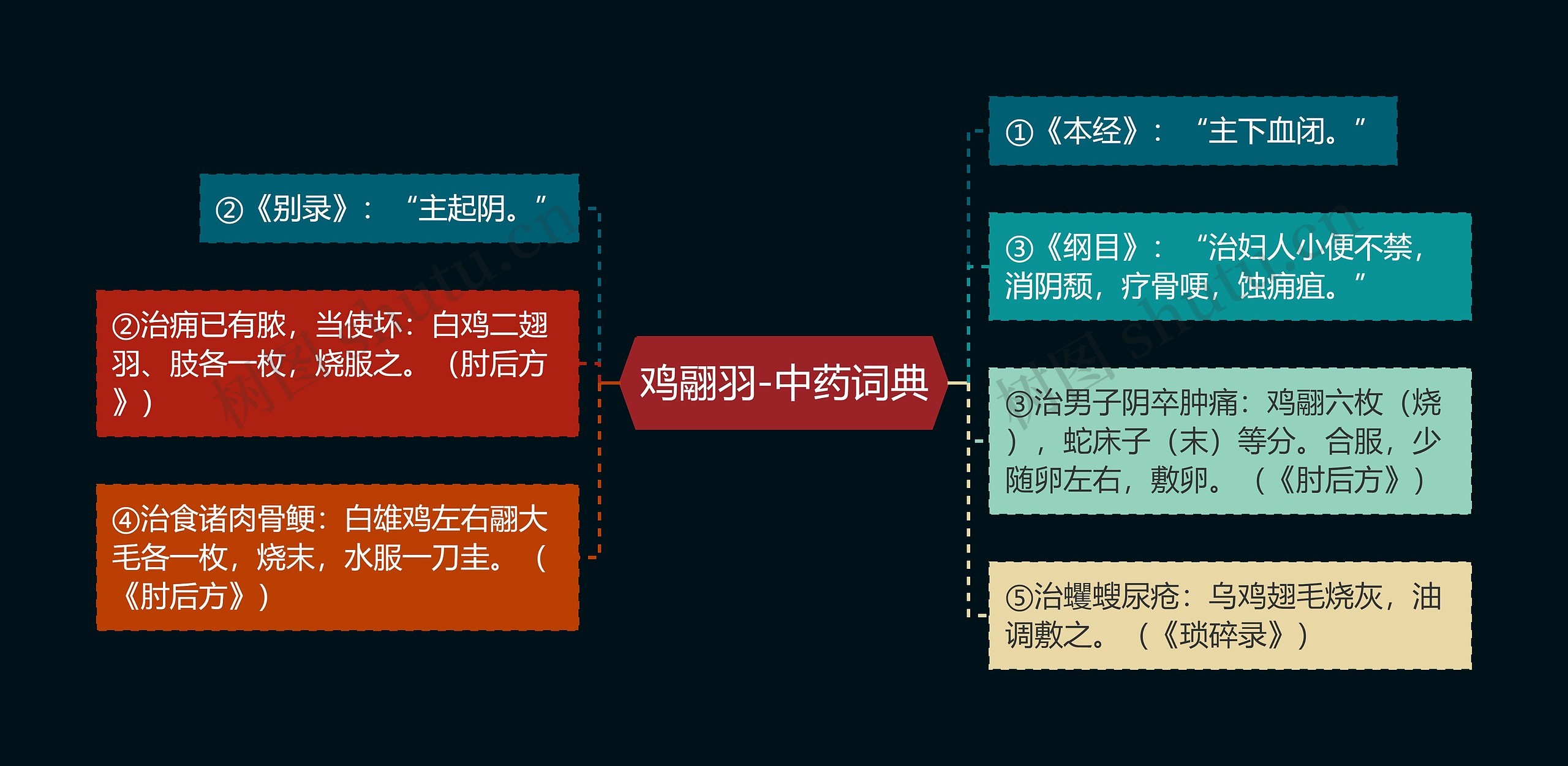 鸡翮羽-中药词典思维导图