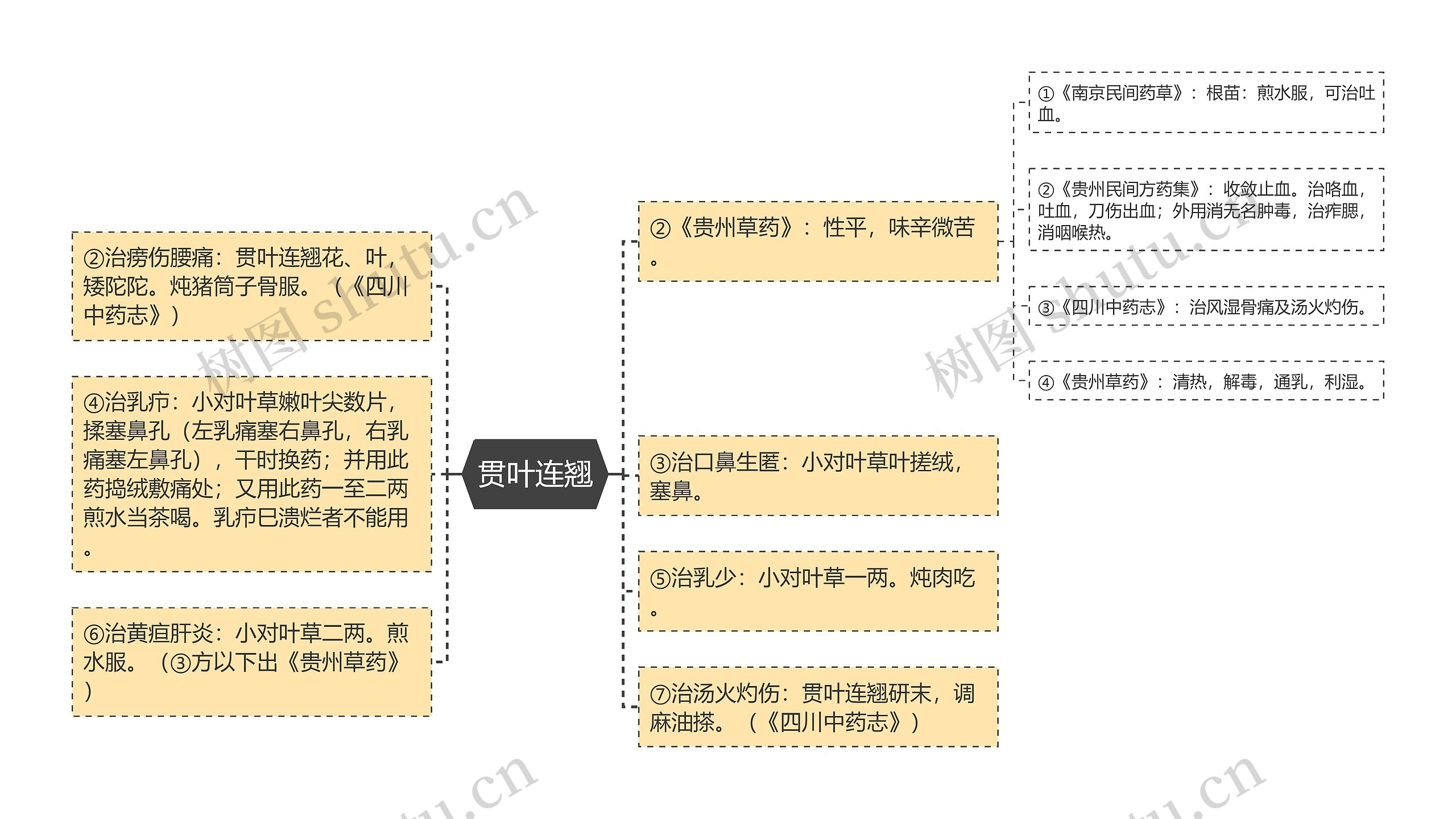 贯叶连翘 贯叶连翘