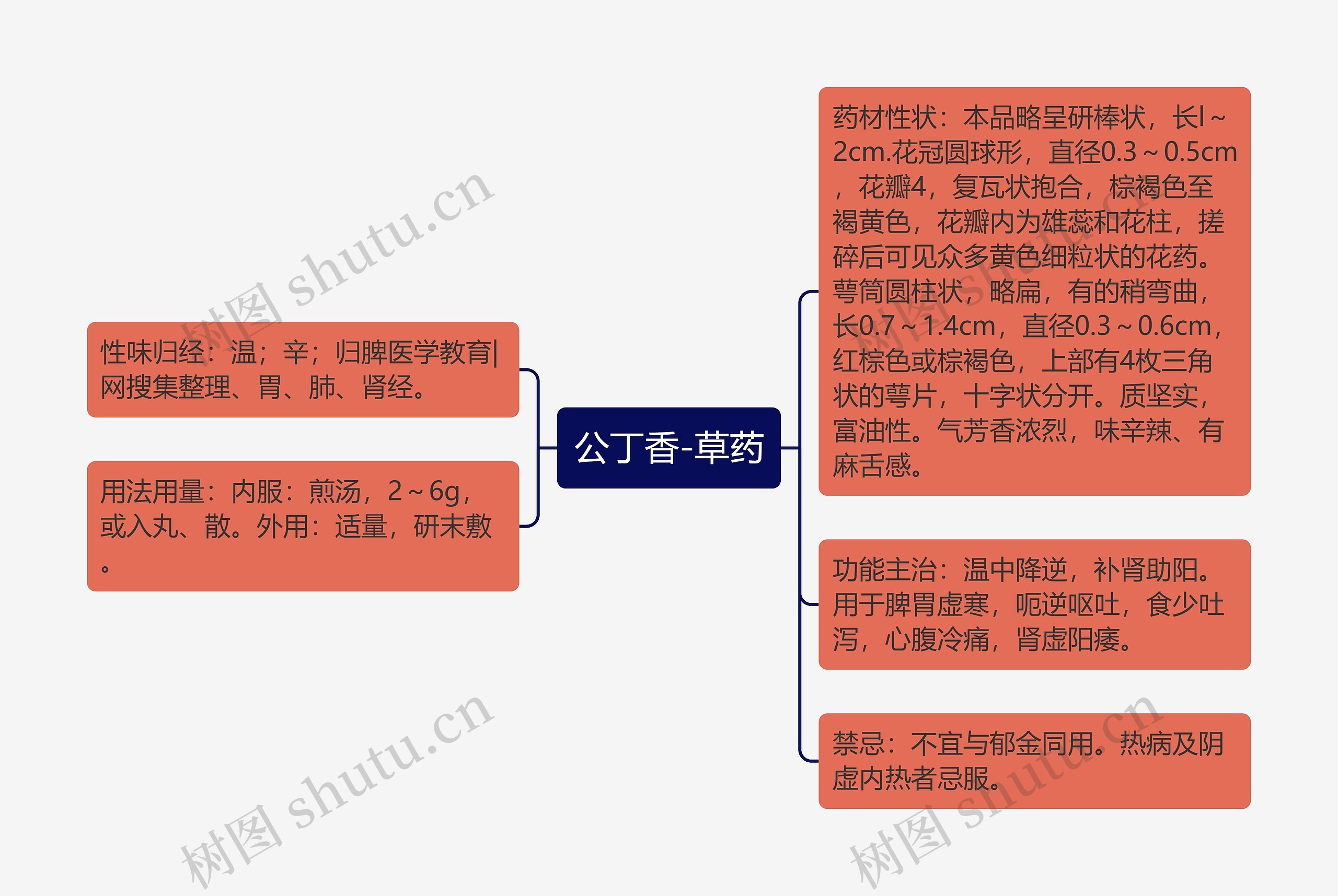 公丁香-草药思维导图