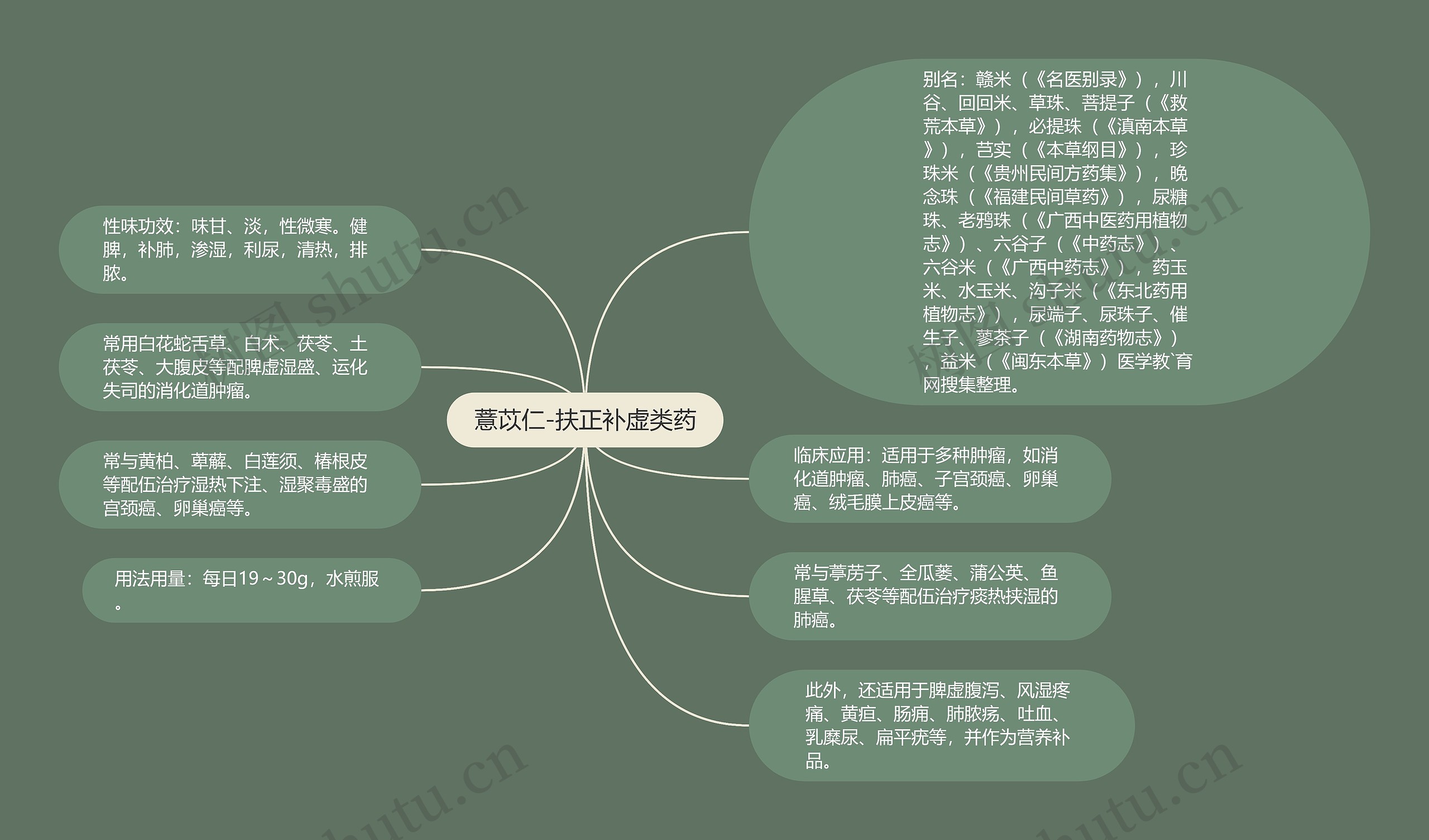 薏苡仁-扶正补虚类药思维导图