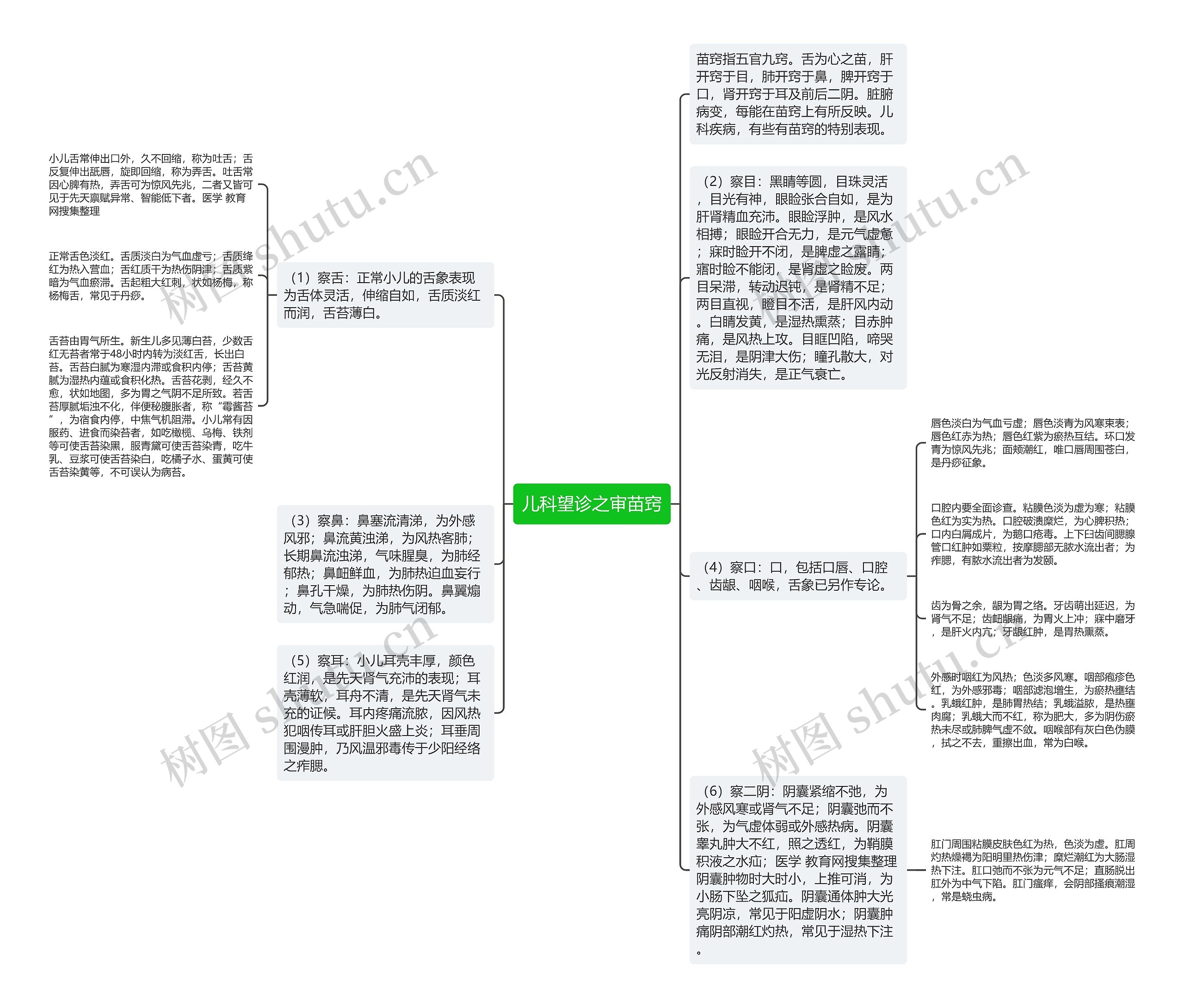 儿科望诊之审苗窍思维导图