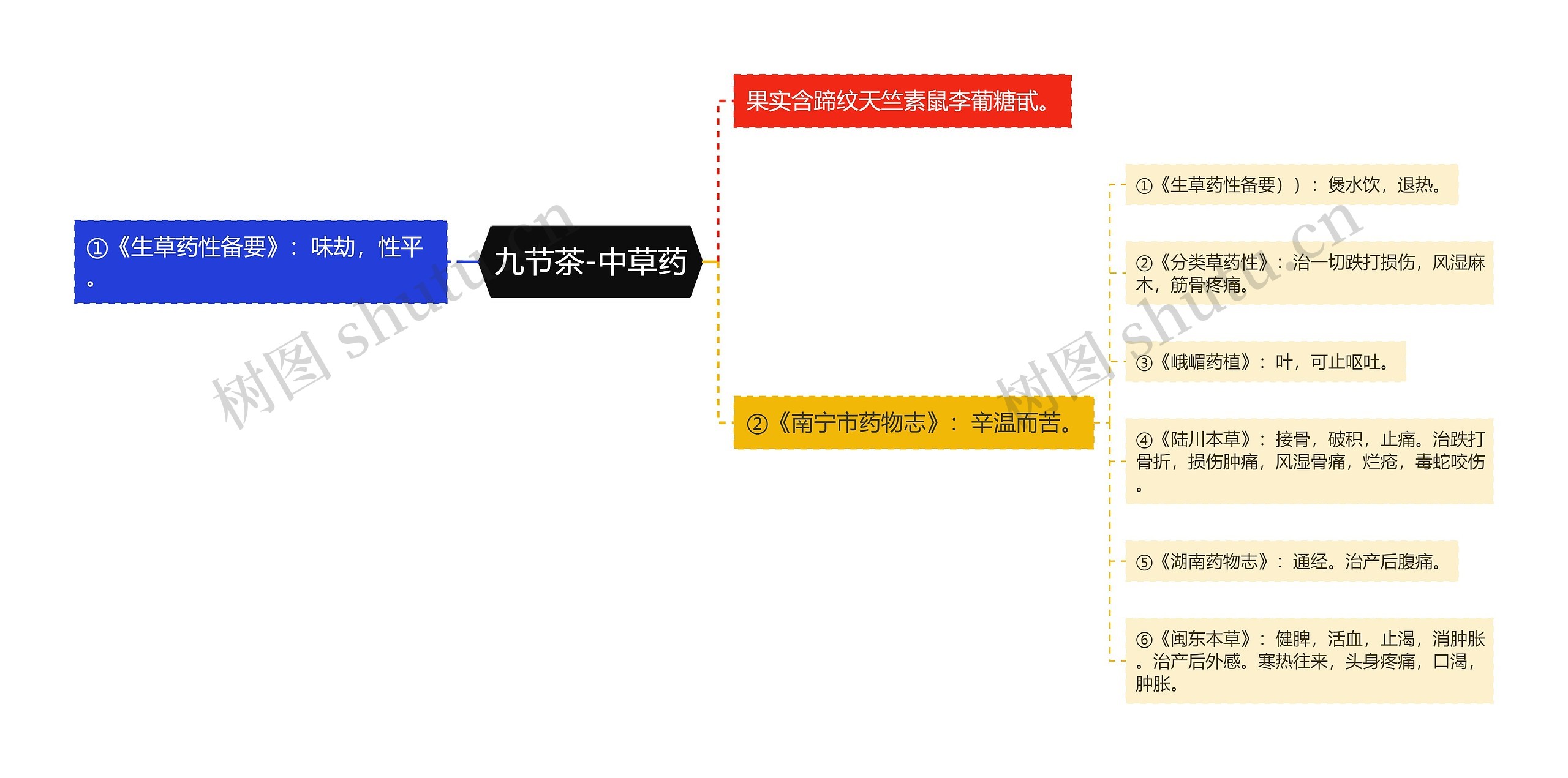 九节茶-中草药思维导图