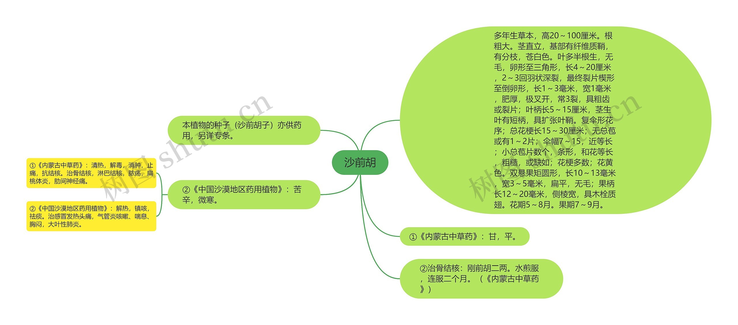 沙前胡思维导图