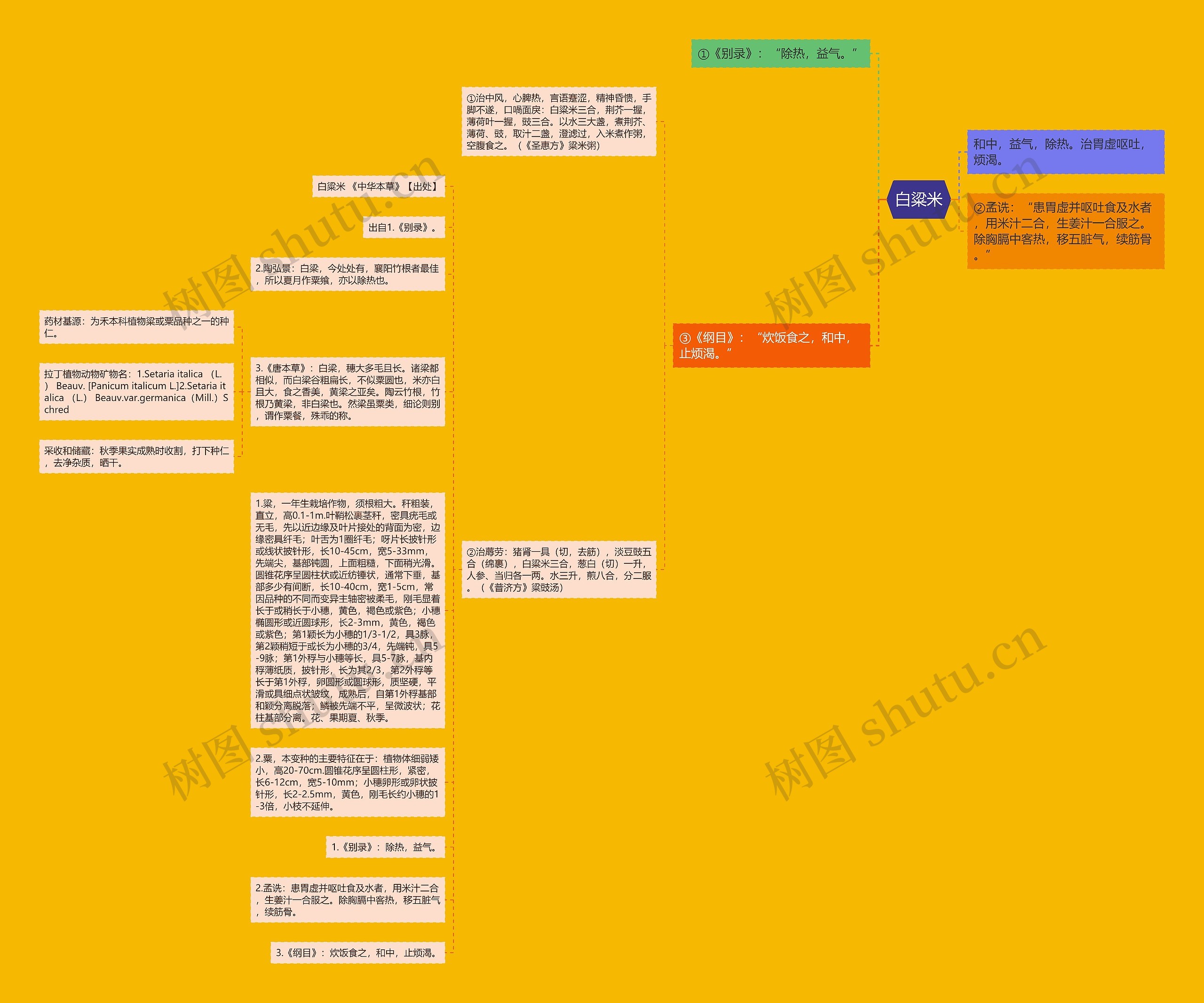 白粱米思维导图高清图 白粱米思维导图