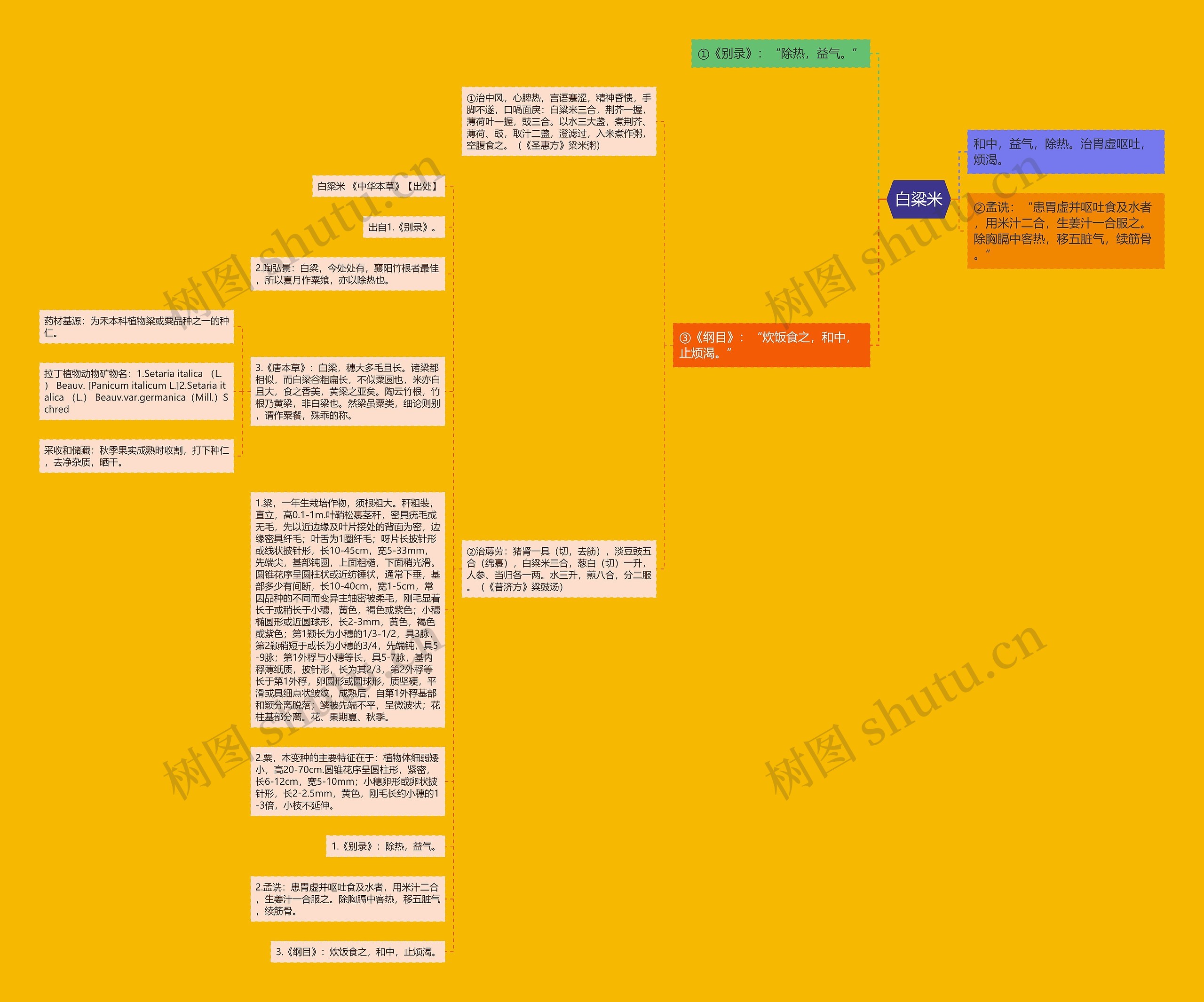 白粱米思维导图