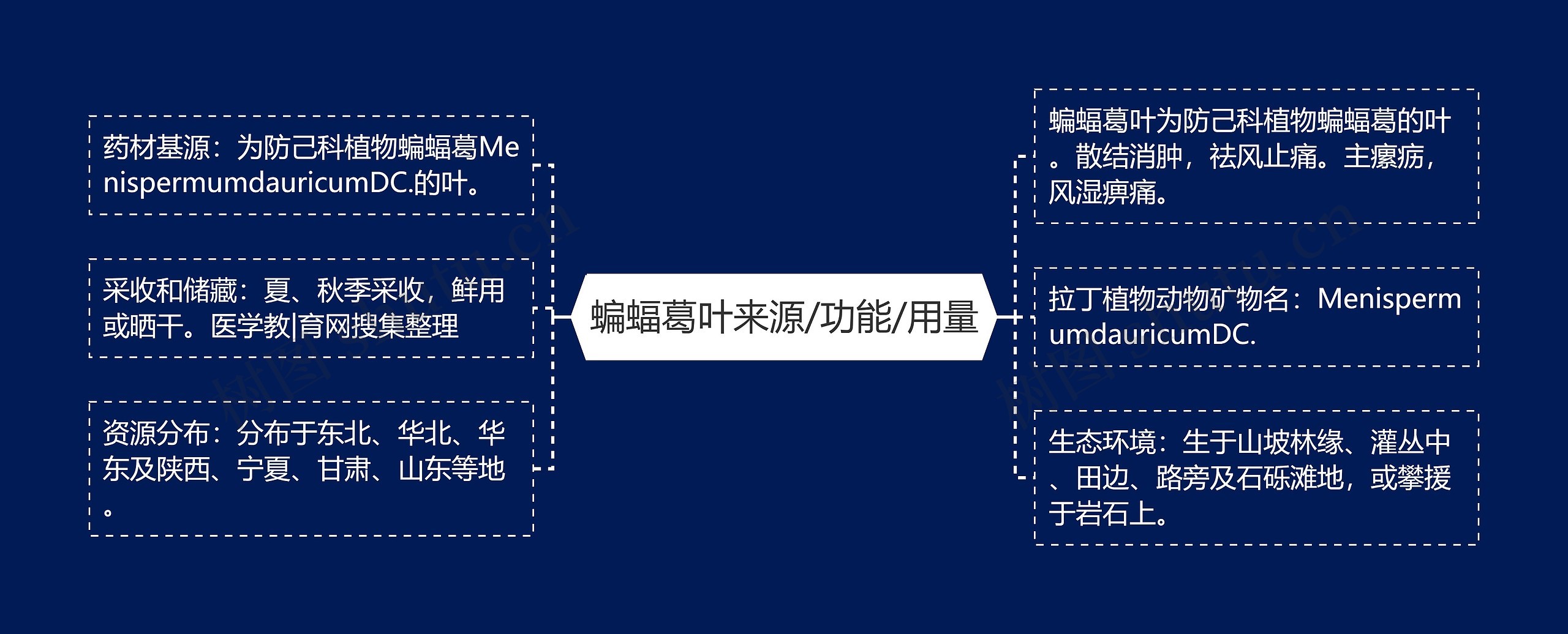 蝙蝠葛叶来源/功能/用量 蝙蝠葛叶来源/功能/用量