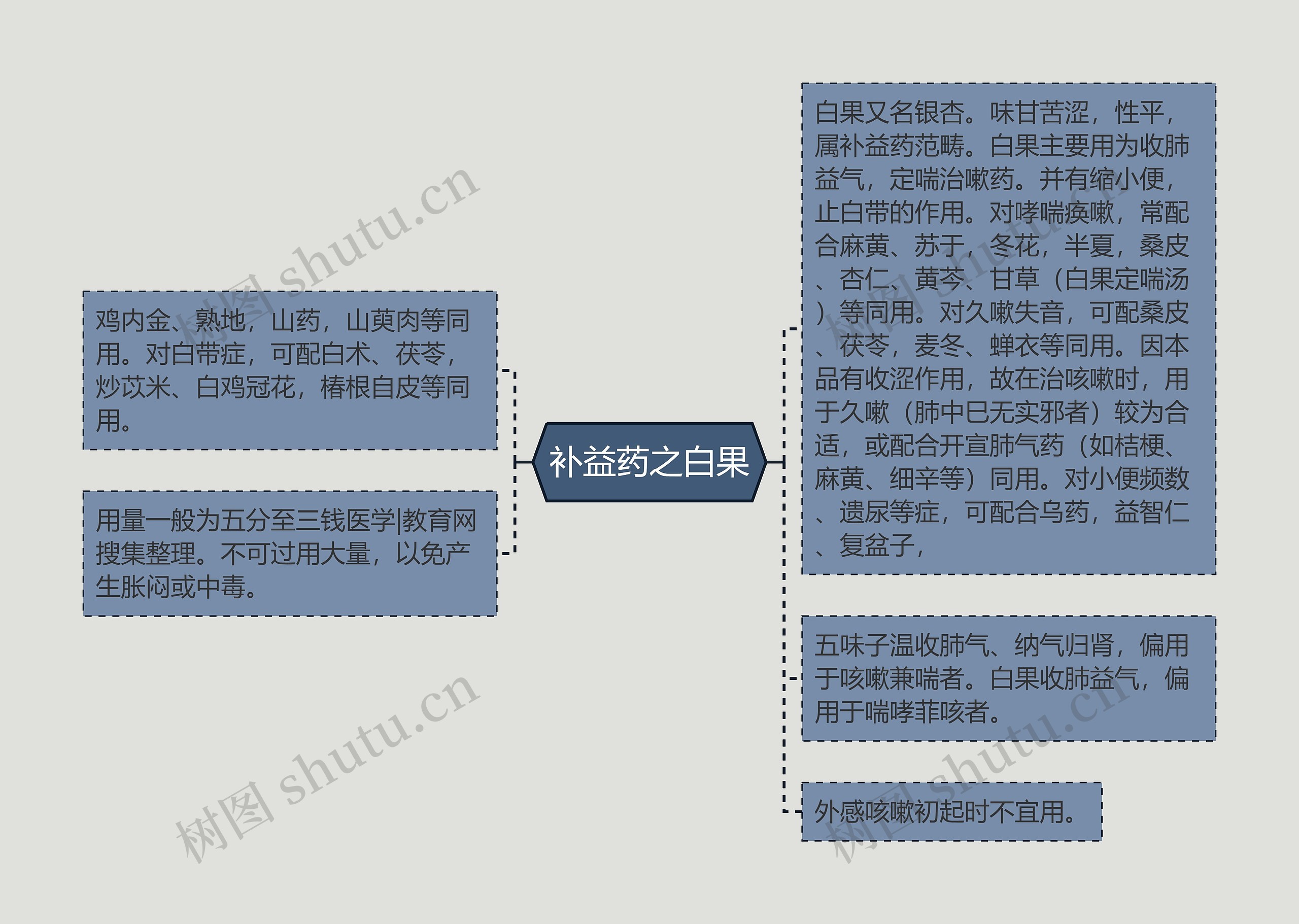 补益药之白果思维导图