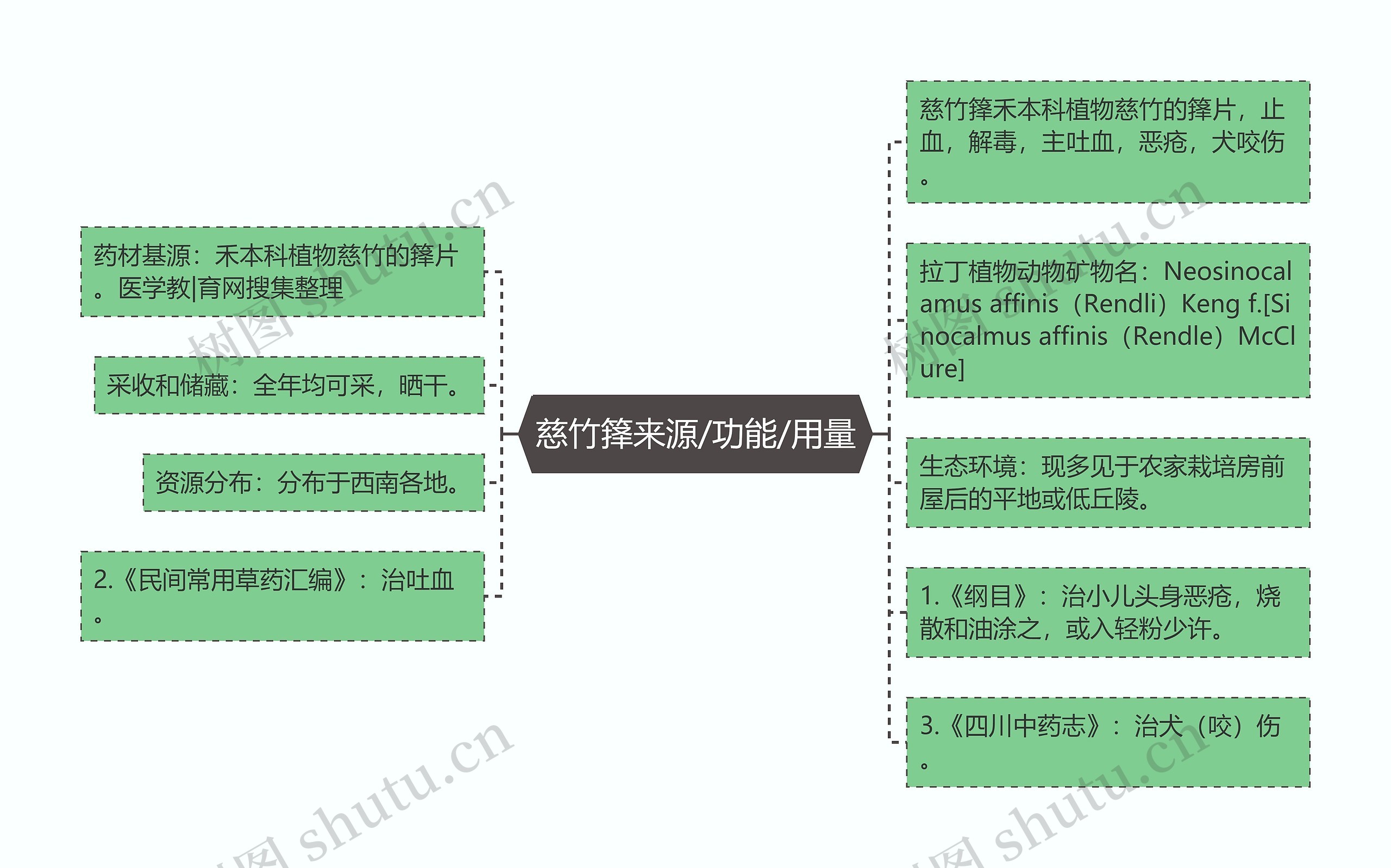 慈竹箨来源/功能/用量思维导图