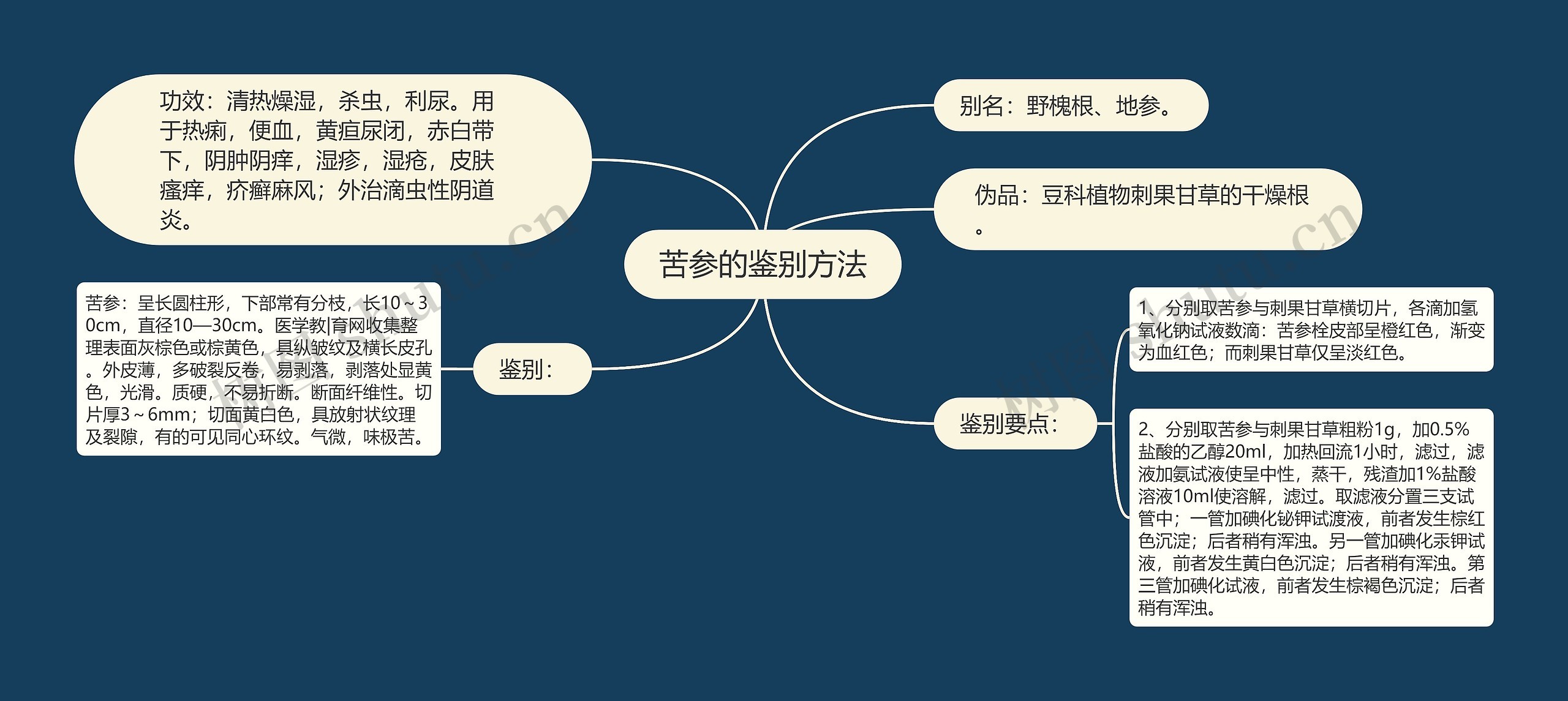 苦参的鉴别方法思维导图