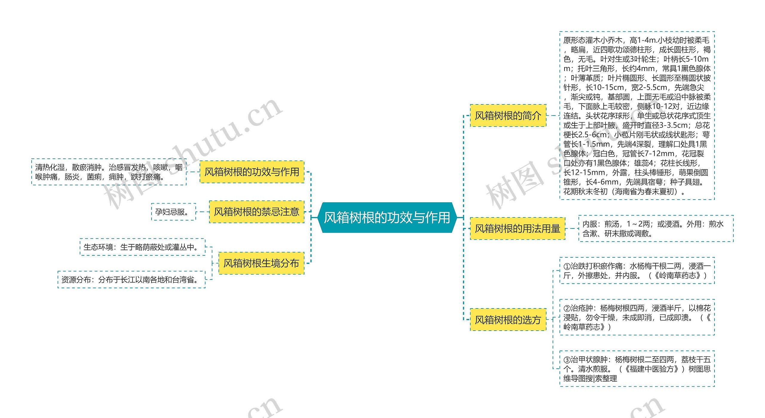 风箱树根的功效与作用思维导图