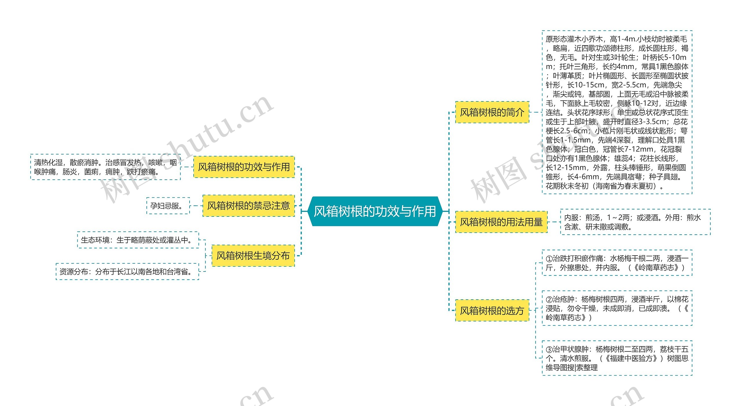 风箱树根的功效与作用 风箱树根的功效与作用