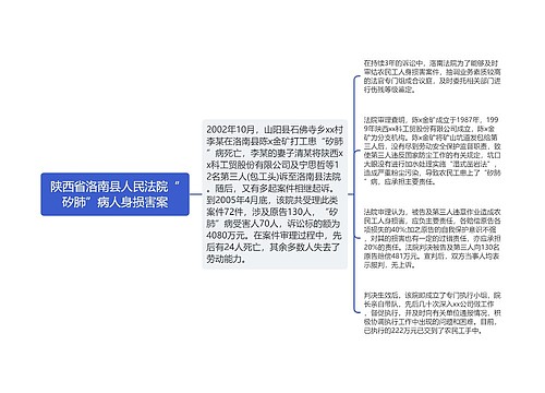 陕西省洛南县人民法院“矽肺”病人身损害案