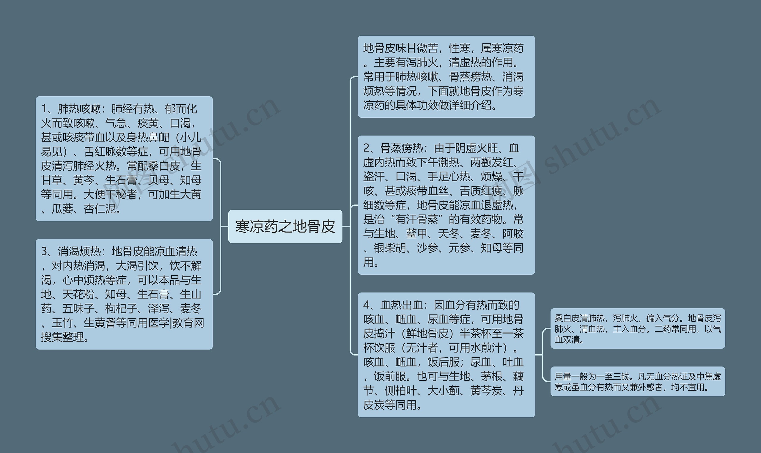 寒凉药之地骨皮思维导图