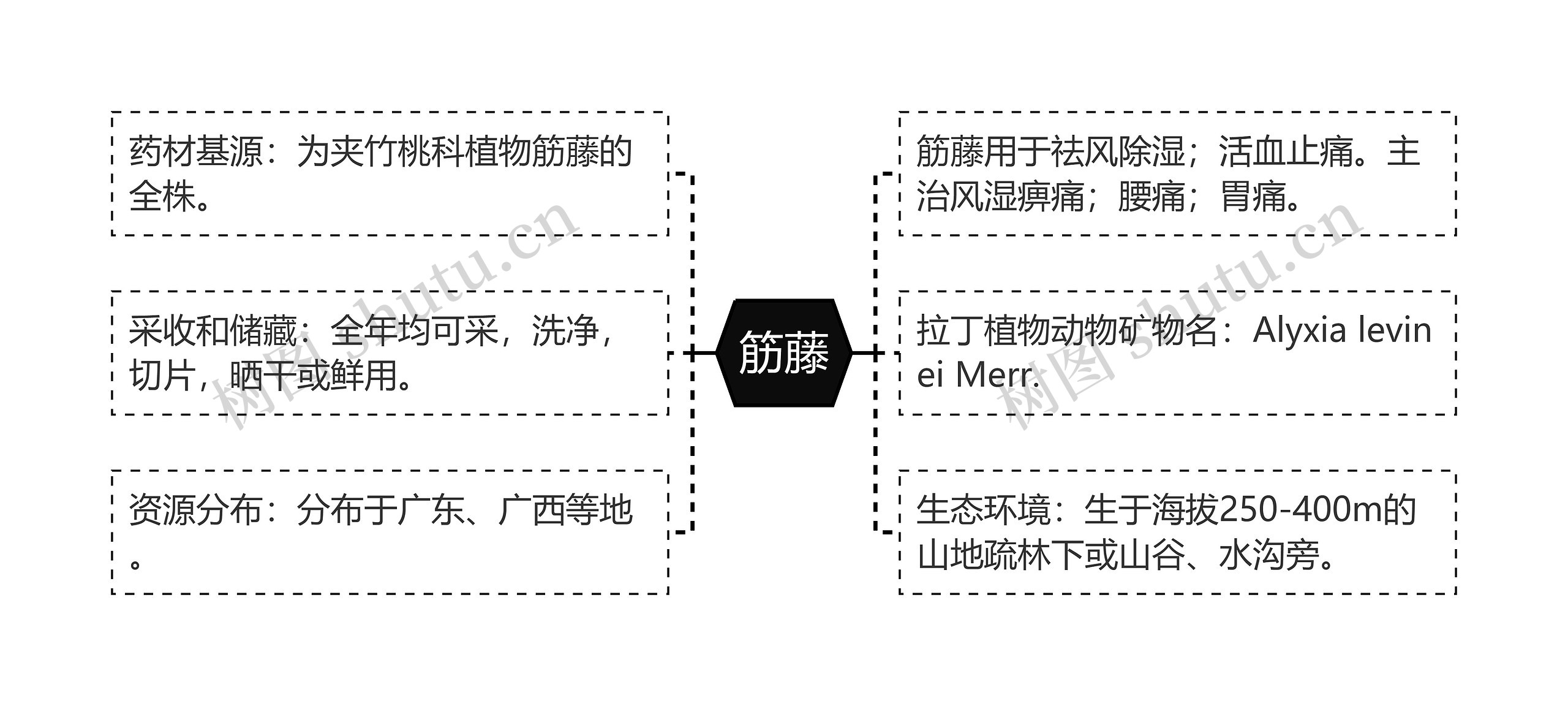 筋藤思维导图